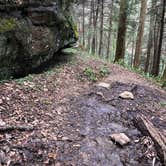 Review photo of Burnt Mill Bridge Loop by Lori H., April 6, 2020