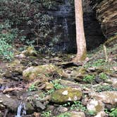 Review photo of Burnt Mill Bridge Loop by Lori H., April 6, 2020