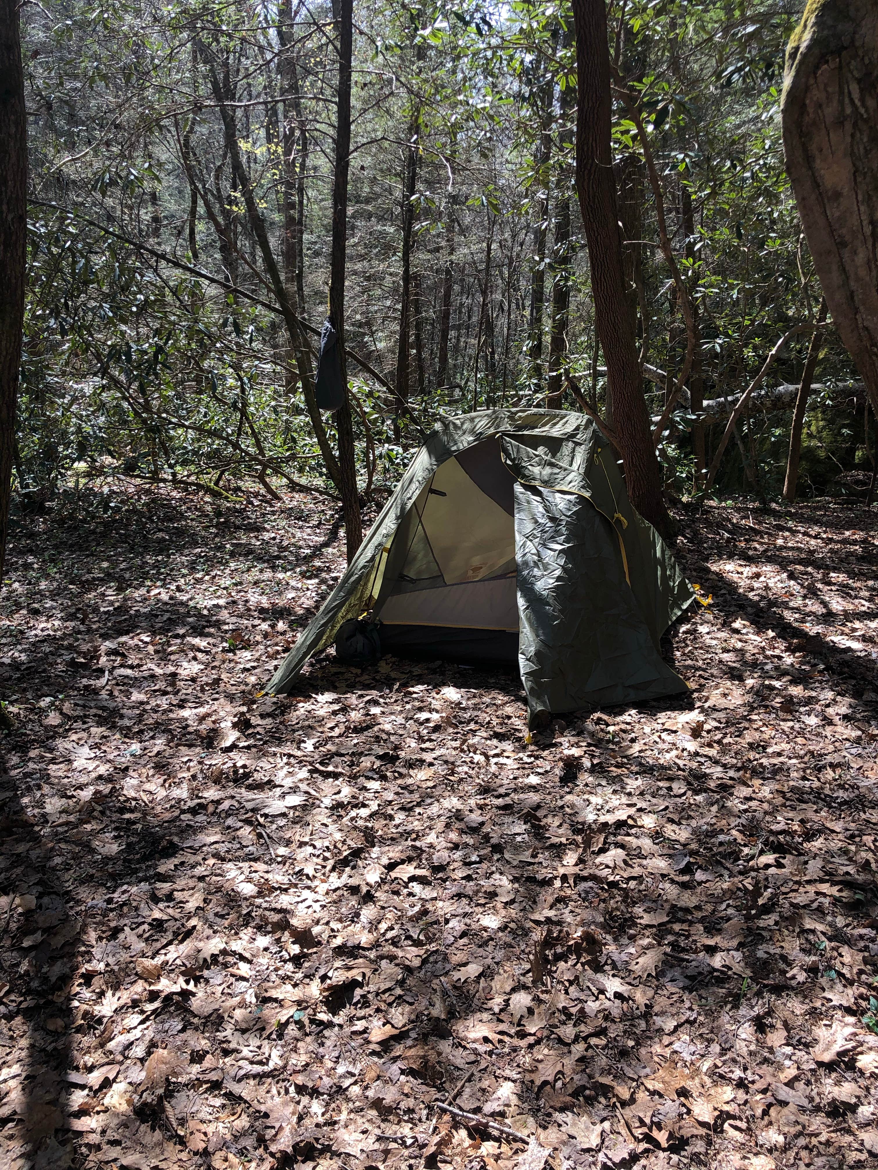 Lori H.'s photo of tent camping at Burnt Mill Bridge Loop near Big South Fork National River and Recreation Area