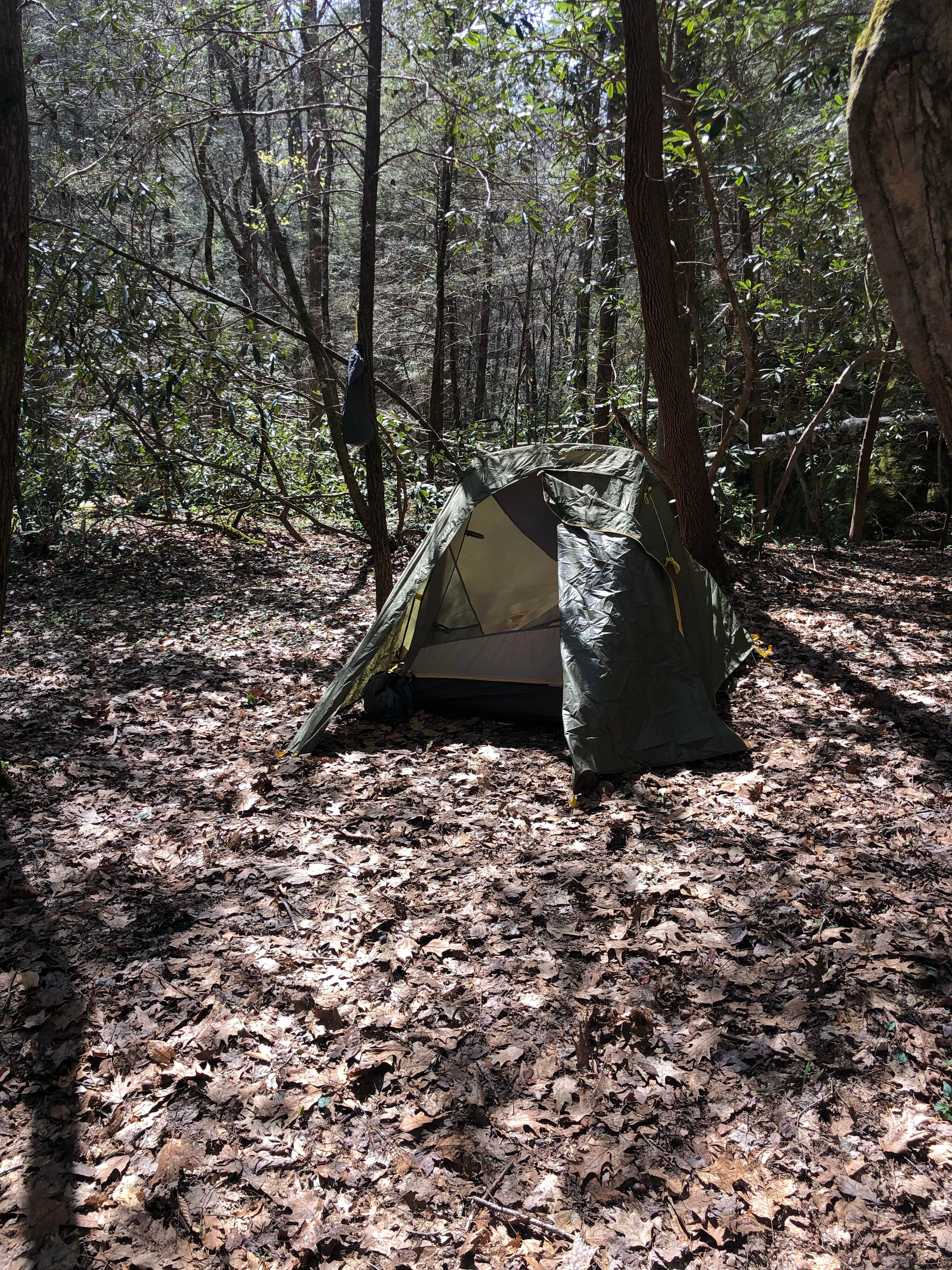 Camper submitted image from Burnt Mill Bridge Loop - 4