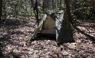 Lori H.'s photo at Burnt Mill Bridge Loop near Clinton, TN