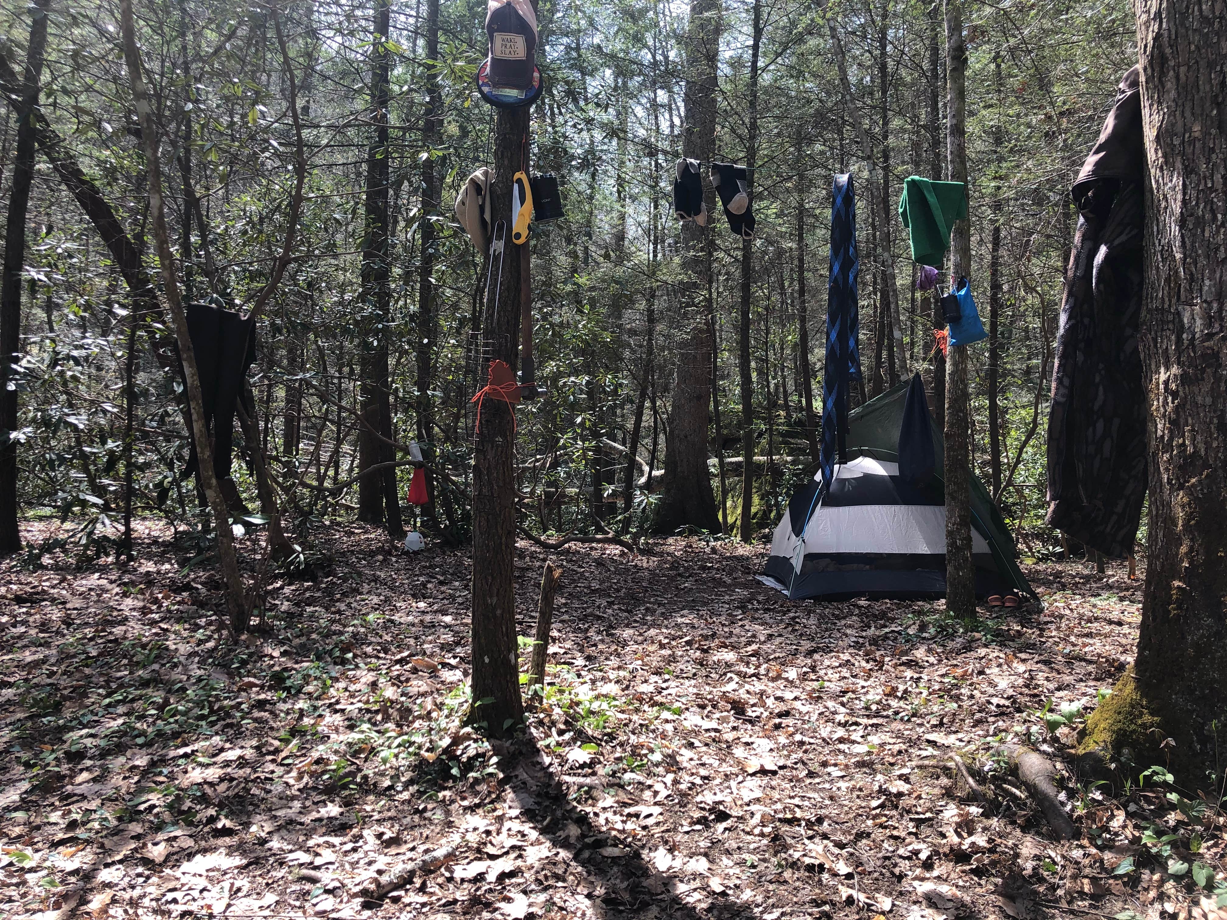 Camper-submitted photo at Burnt Mill Bridge Loop near Petros, TN