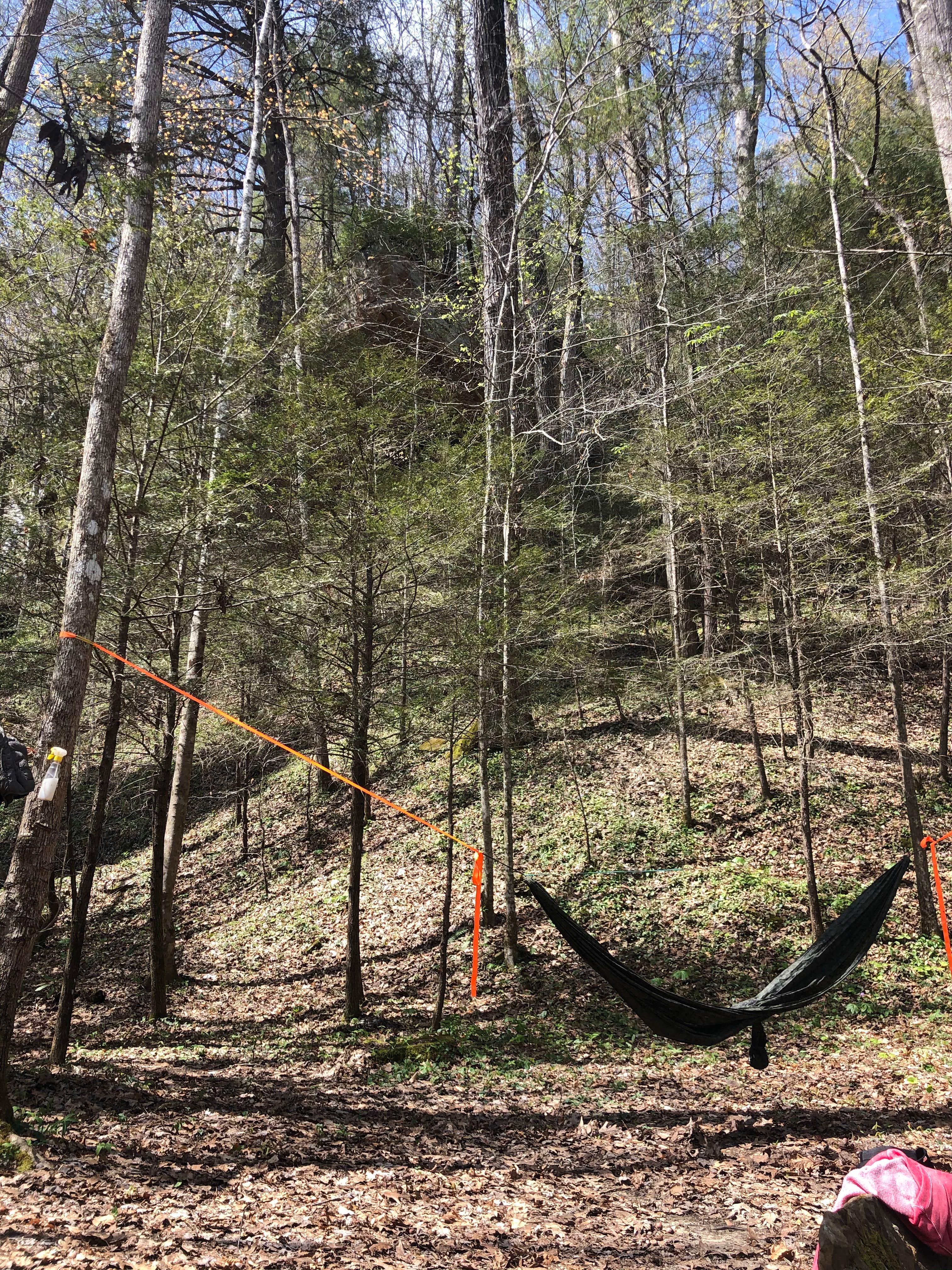 Camper-submitted photo at Burnt Mill Bridge Loop near Clinton, TN