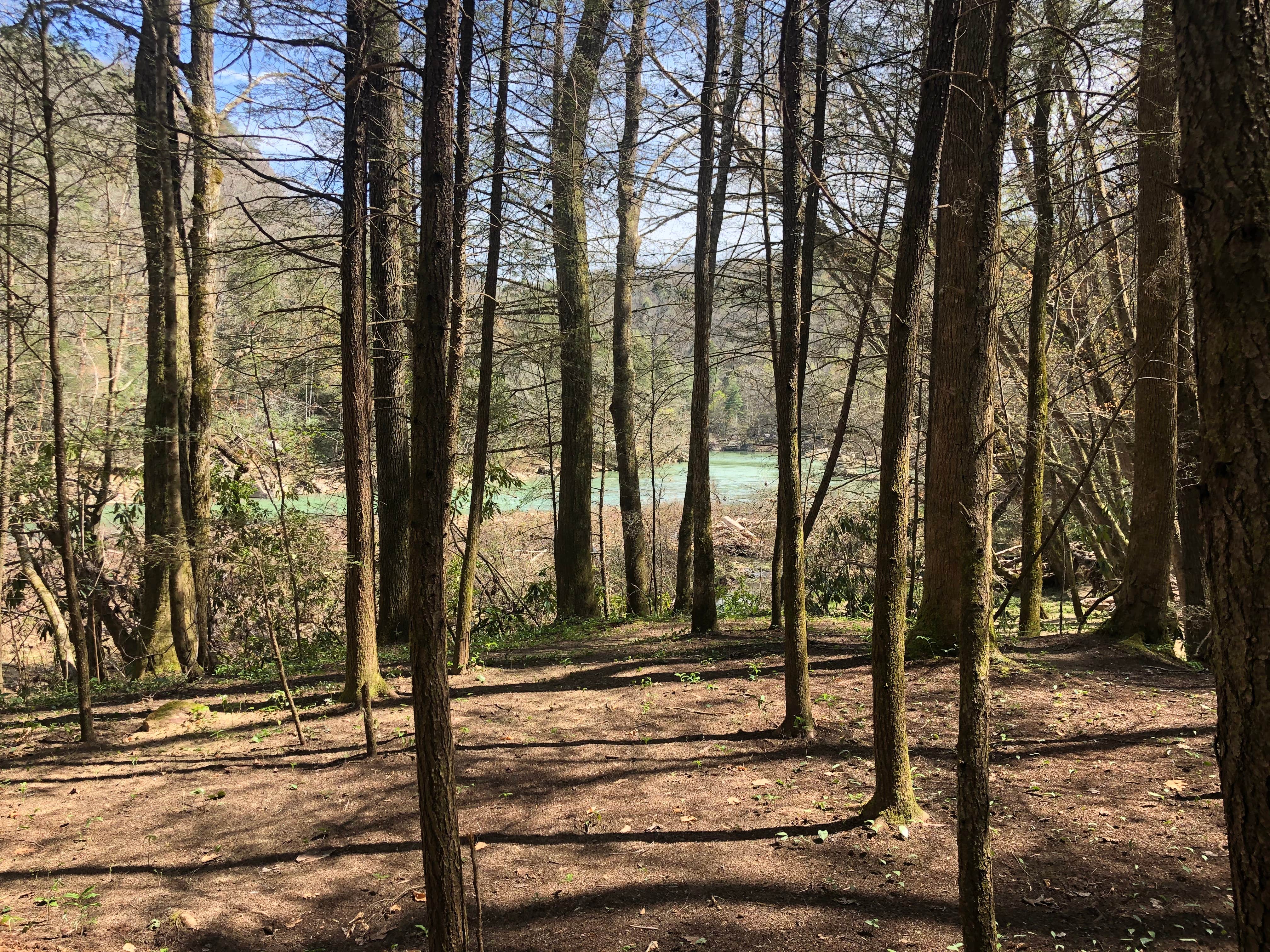 Camper-submitted photo at Burnt Mill Bridge Loop near Clinton, TN