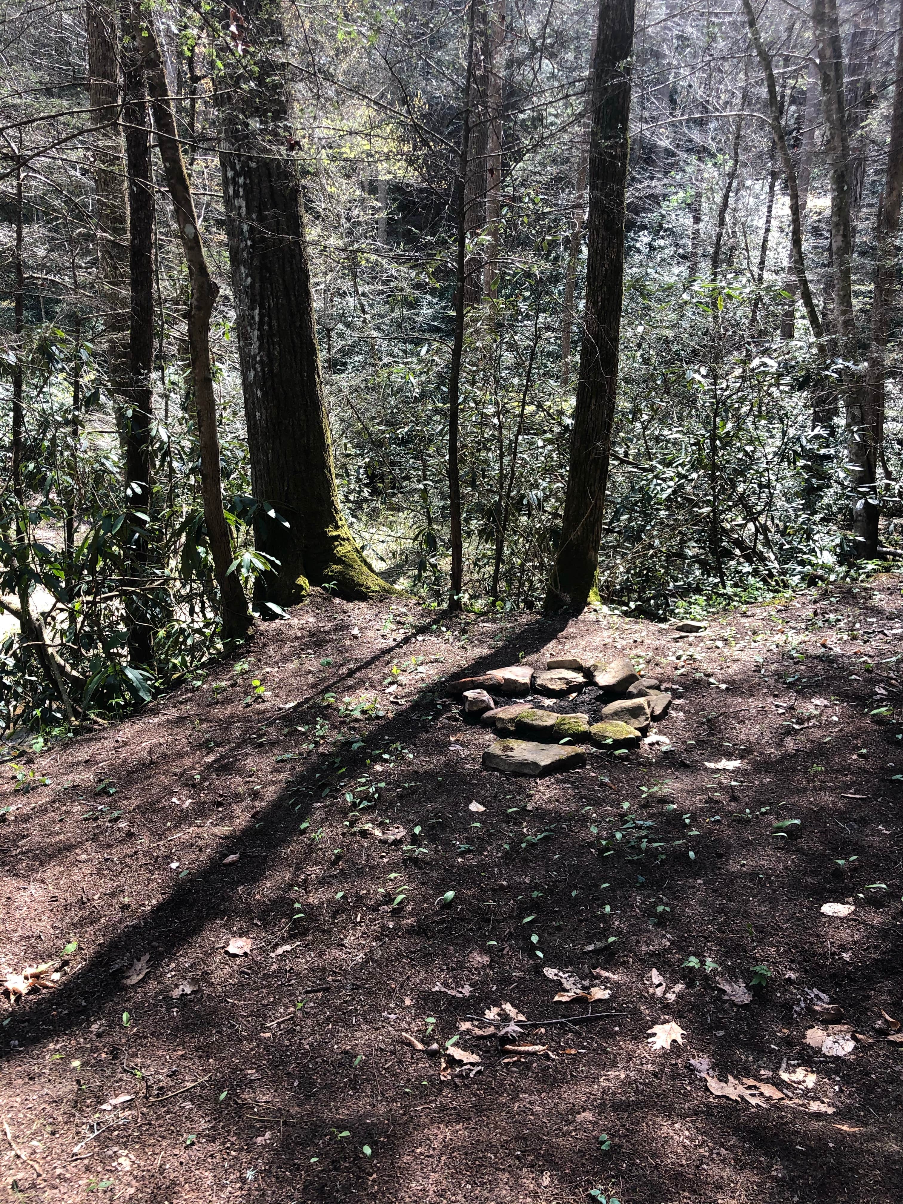 Camper-submitted photo at Burnt Mill Bridge Loop near Clinton, TN