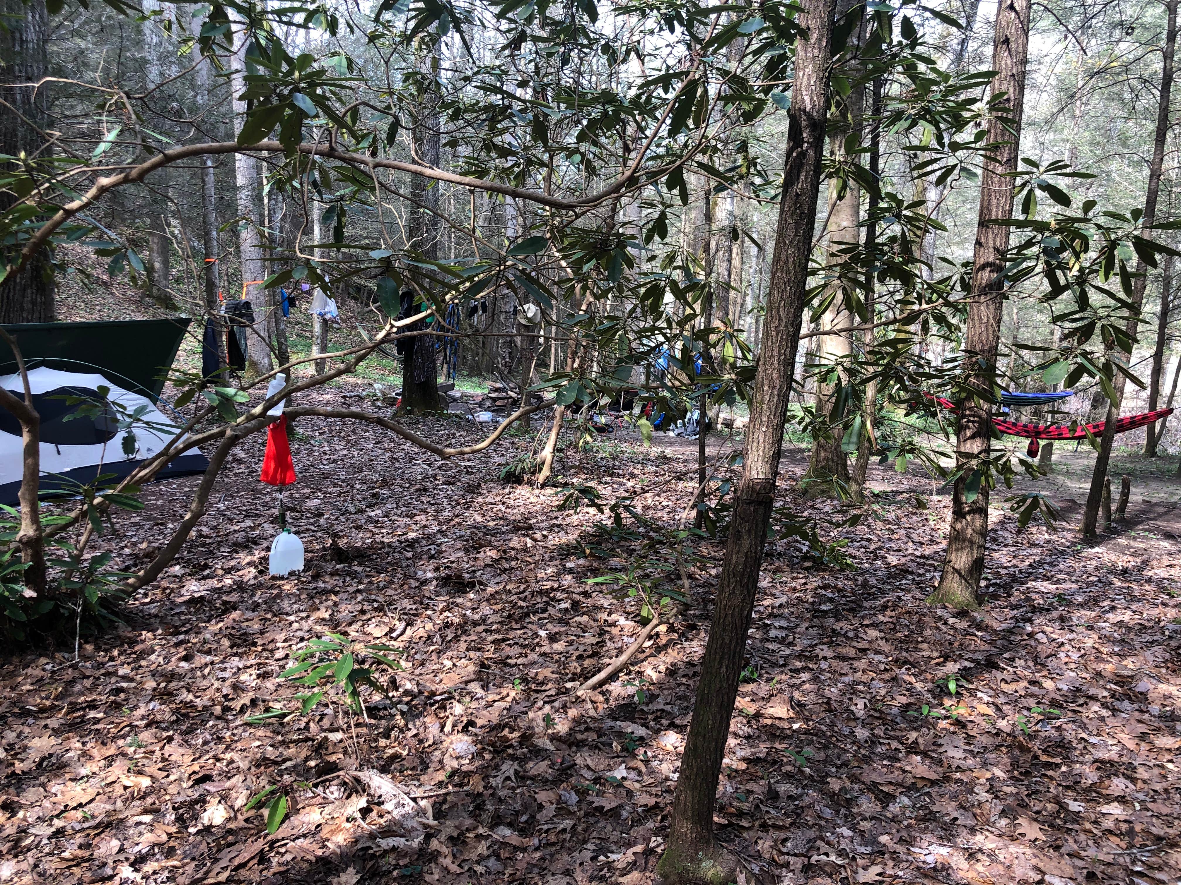 Camper-submitted photo at Burnt Mill Bridge Loop near Clinton, TN