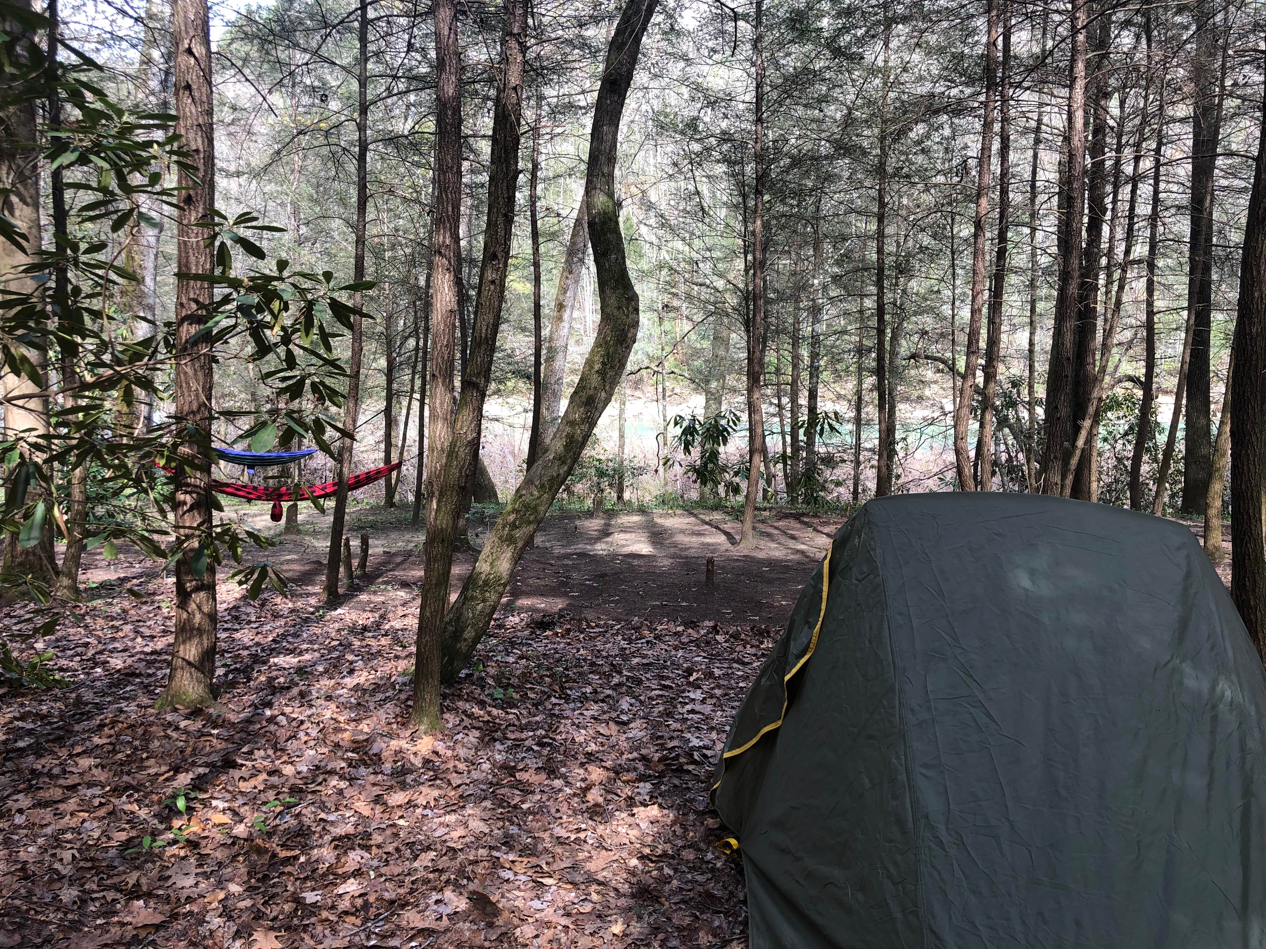 Burnt Mill Bridge Loop