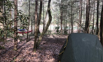 Camping near Frozen Head State Park Campground: Burnt Mill Bridge Loop, Petros, Tennessee