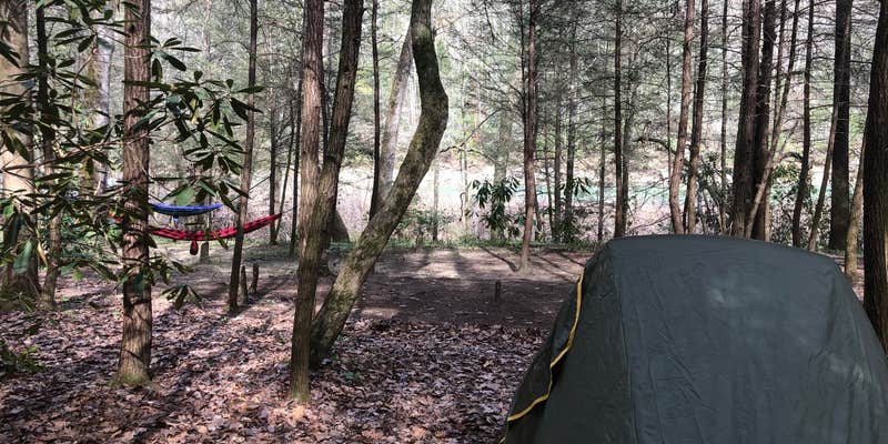 Camper submitted image from Burnt Mill Bridge Loop