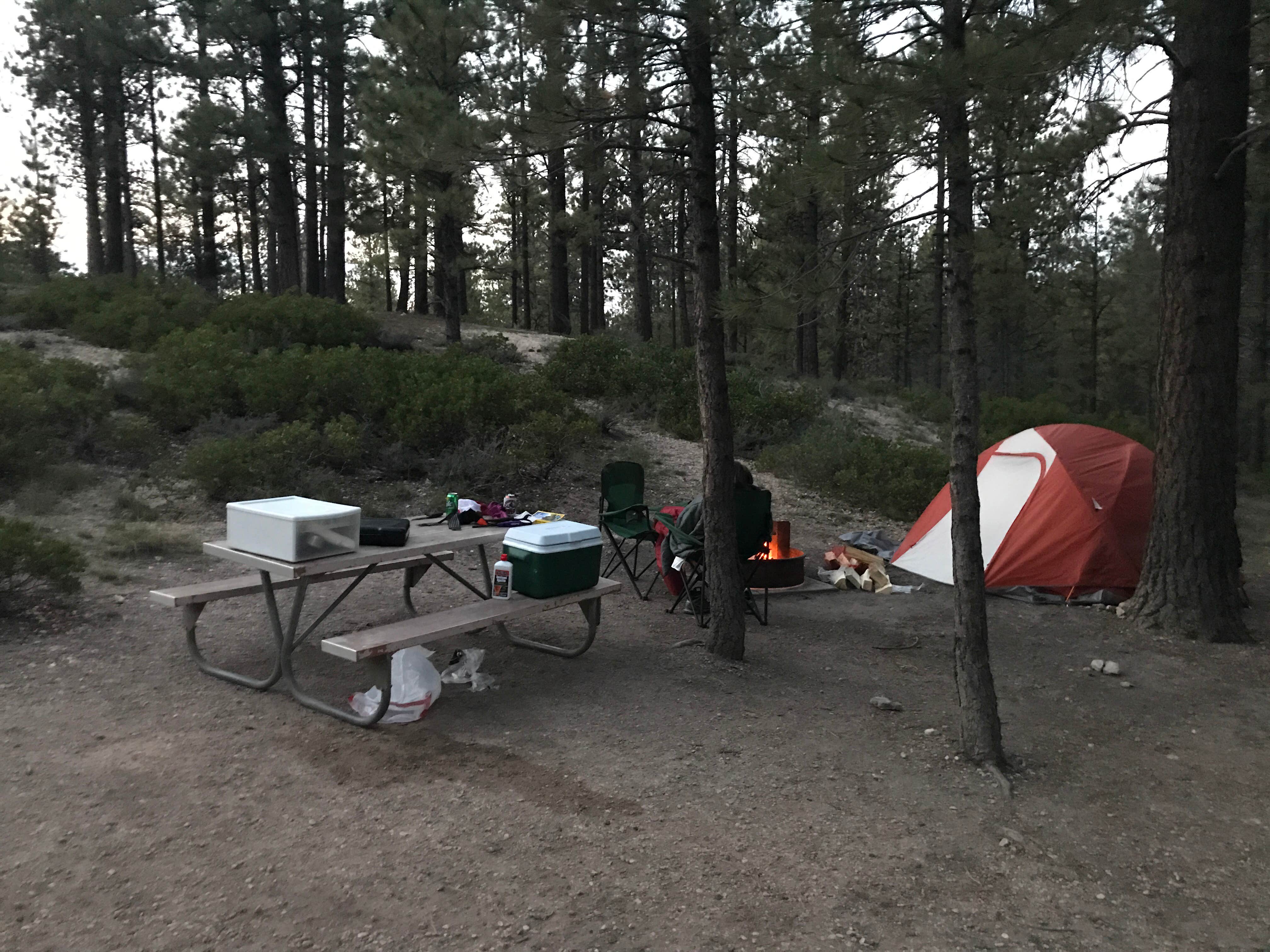 Camper submitted image from Sunset Campground — Bryce Canyon National Park - 4