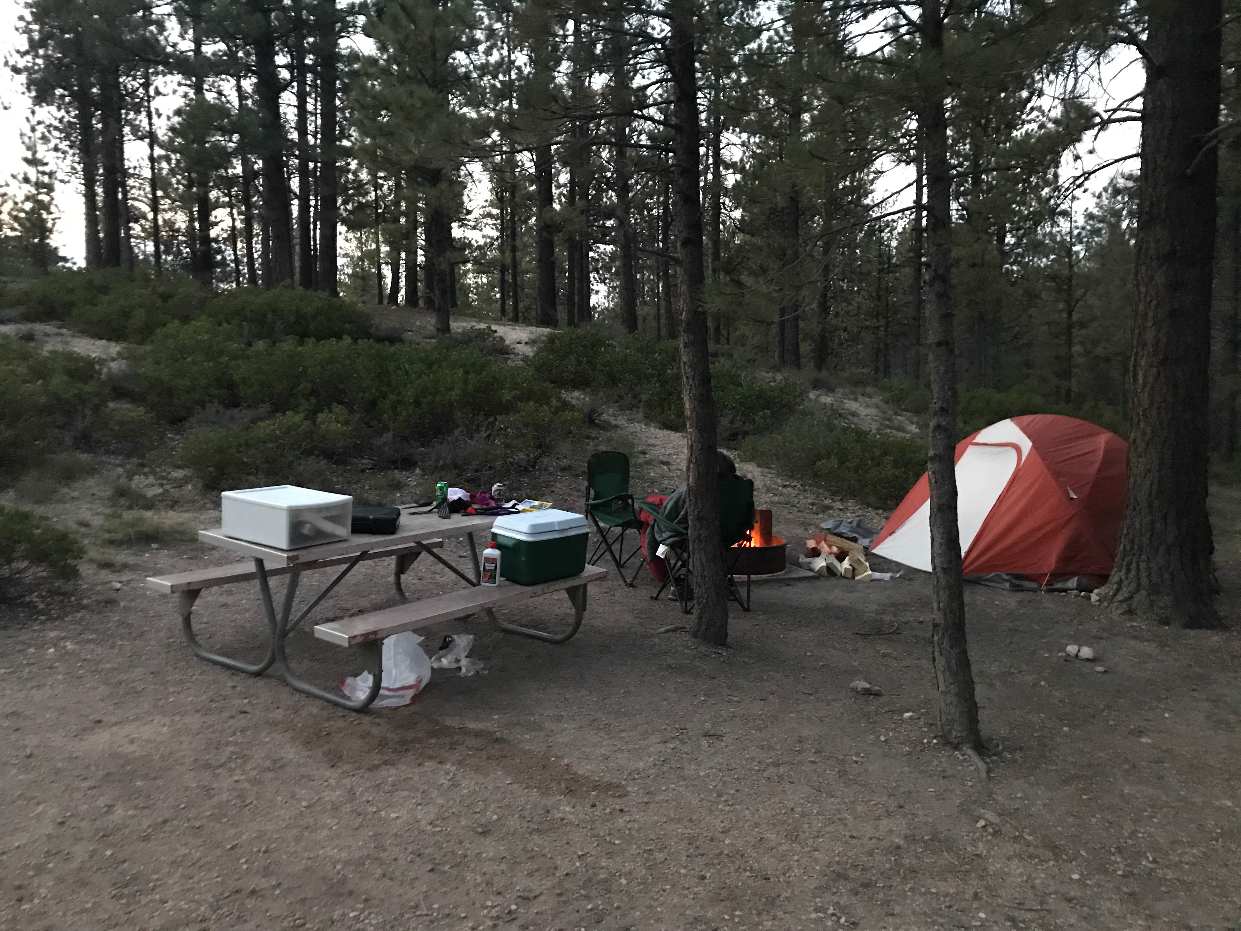 Camper submitted image from Sunset Campground — Bryce Canyon National Park - 5