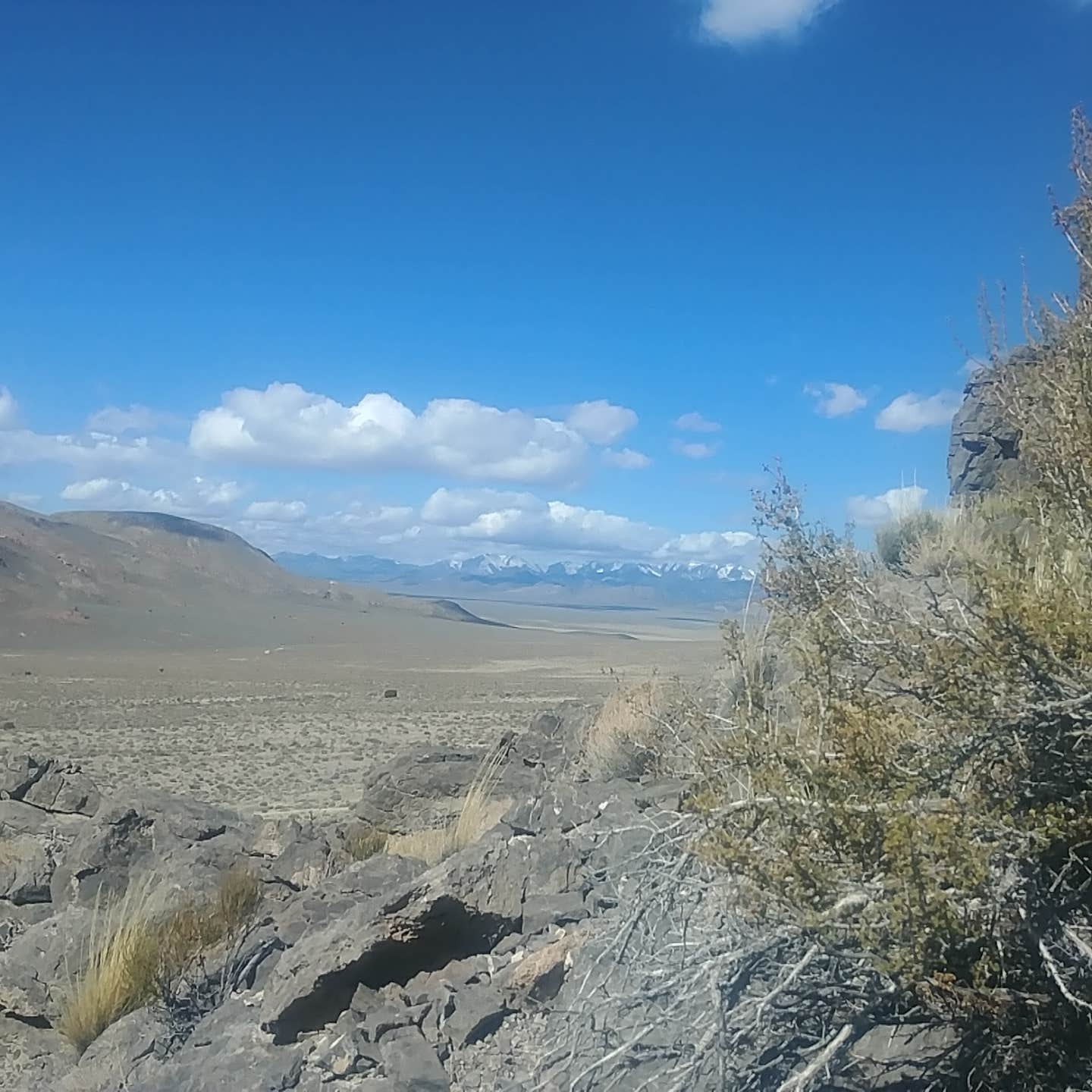 Camper-submitted photo at Gap Mountain near Humboldt-Toiyabe National Forest Headquarters
