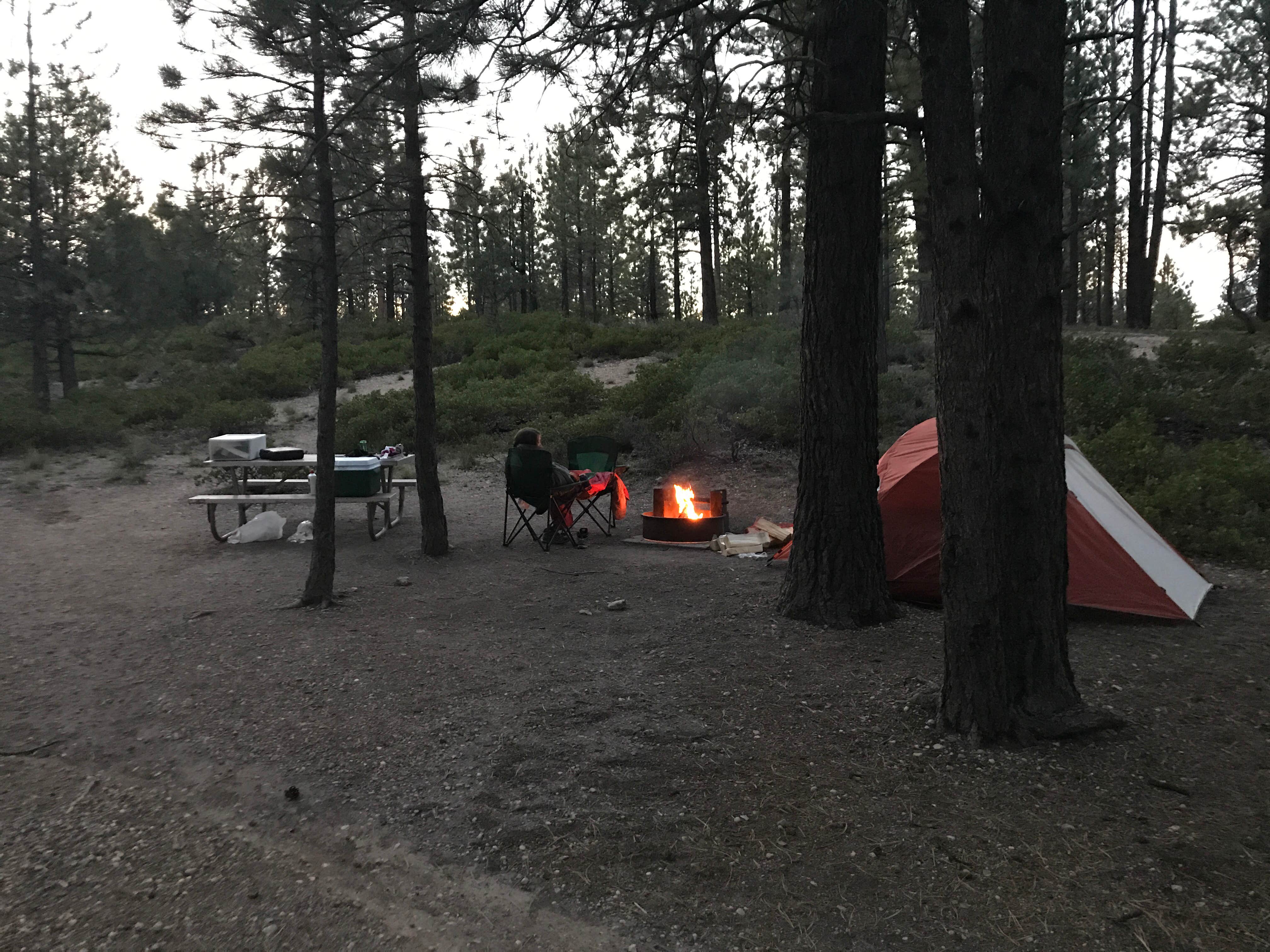 Megan M.'s photo at Sunset Campground — Bryce Canyon National Park near Bryce Canyon National Park