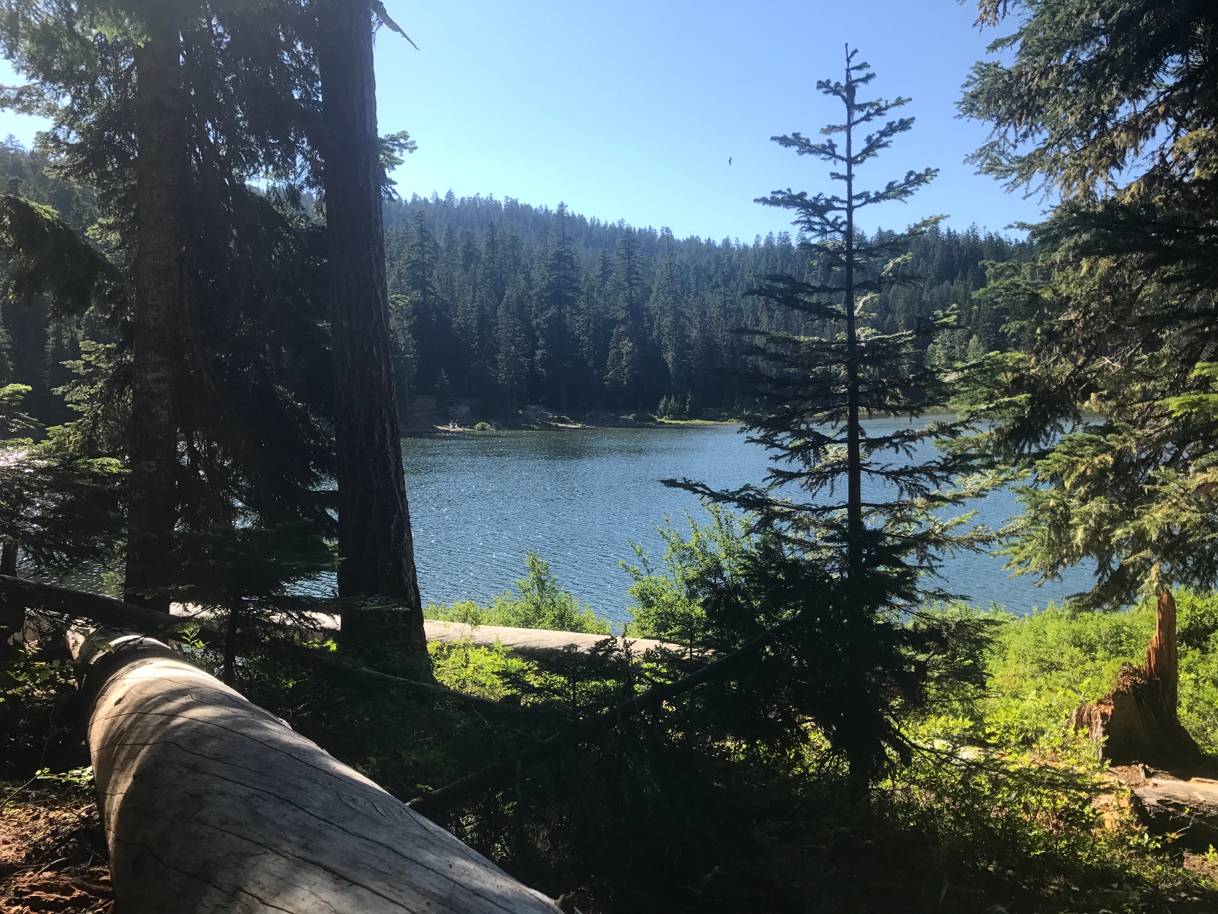 Camper submitted image from Mount Hood National Forest Frog Lake Campground - 1