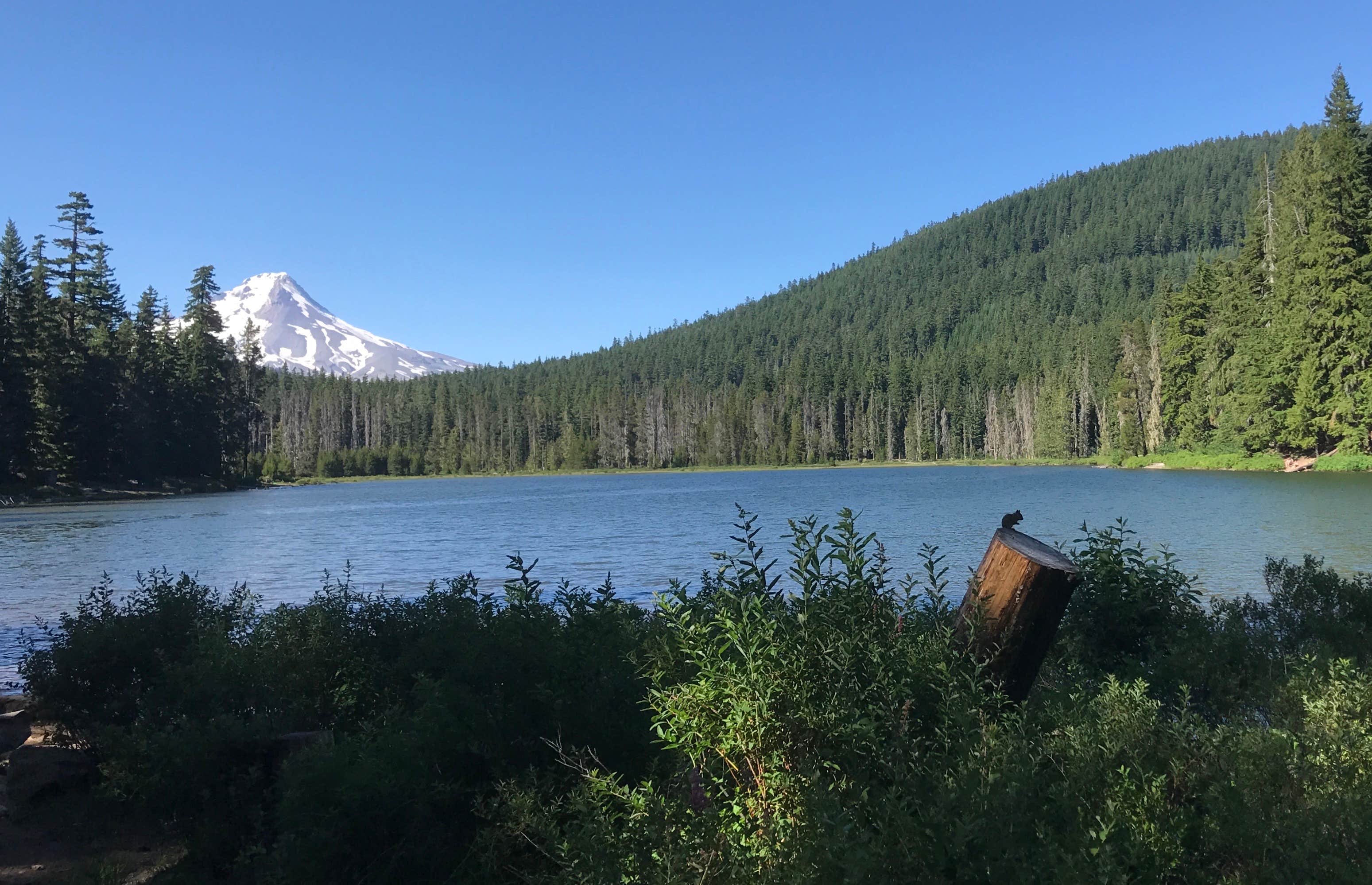 Camper-submitted photo at Frog Lake near Government Camp, OR