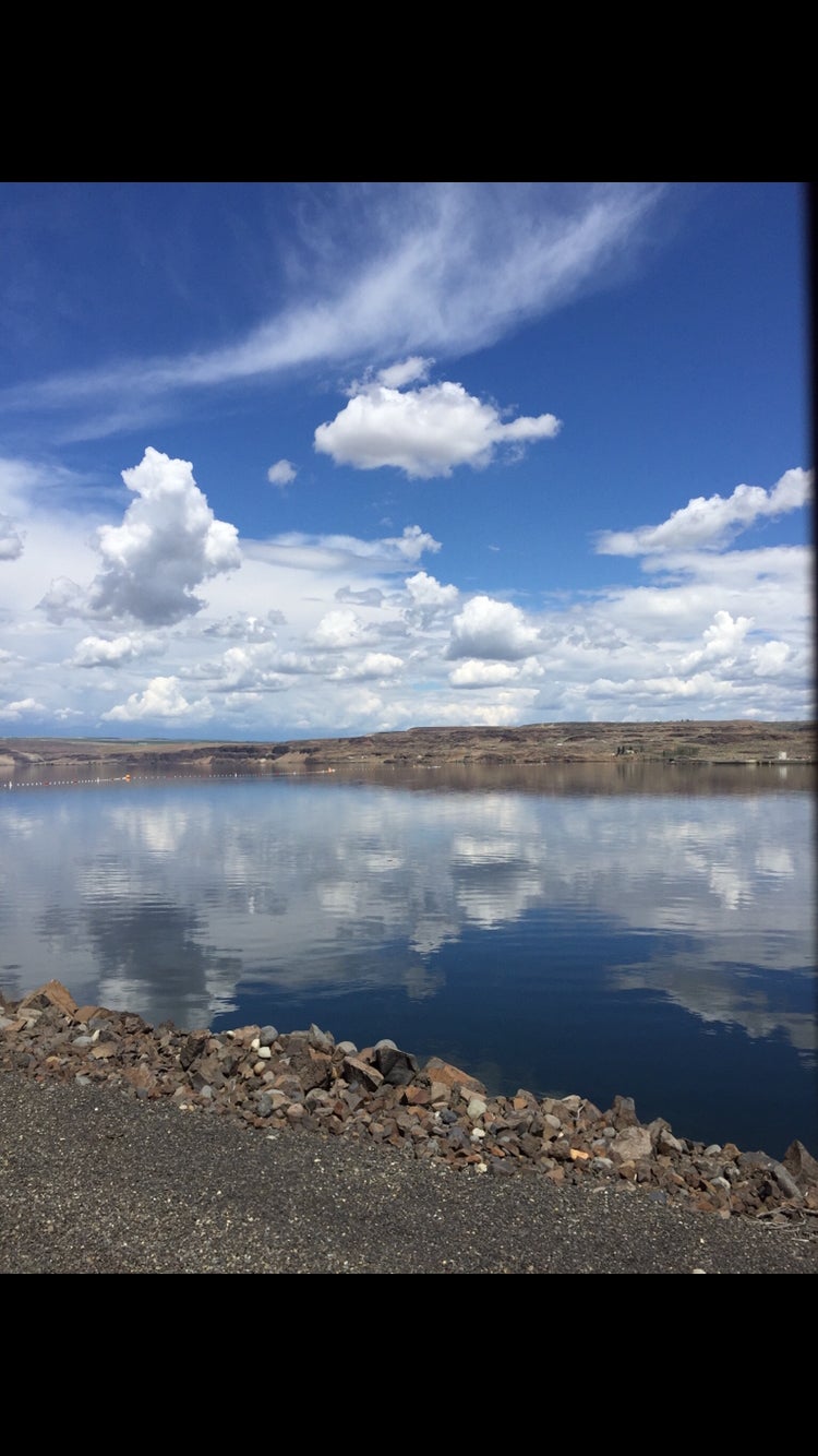 Camper submitted image from Sand Hollow Campground - 3