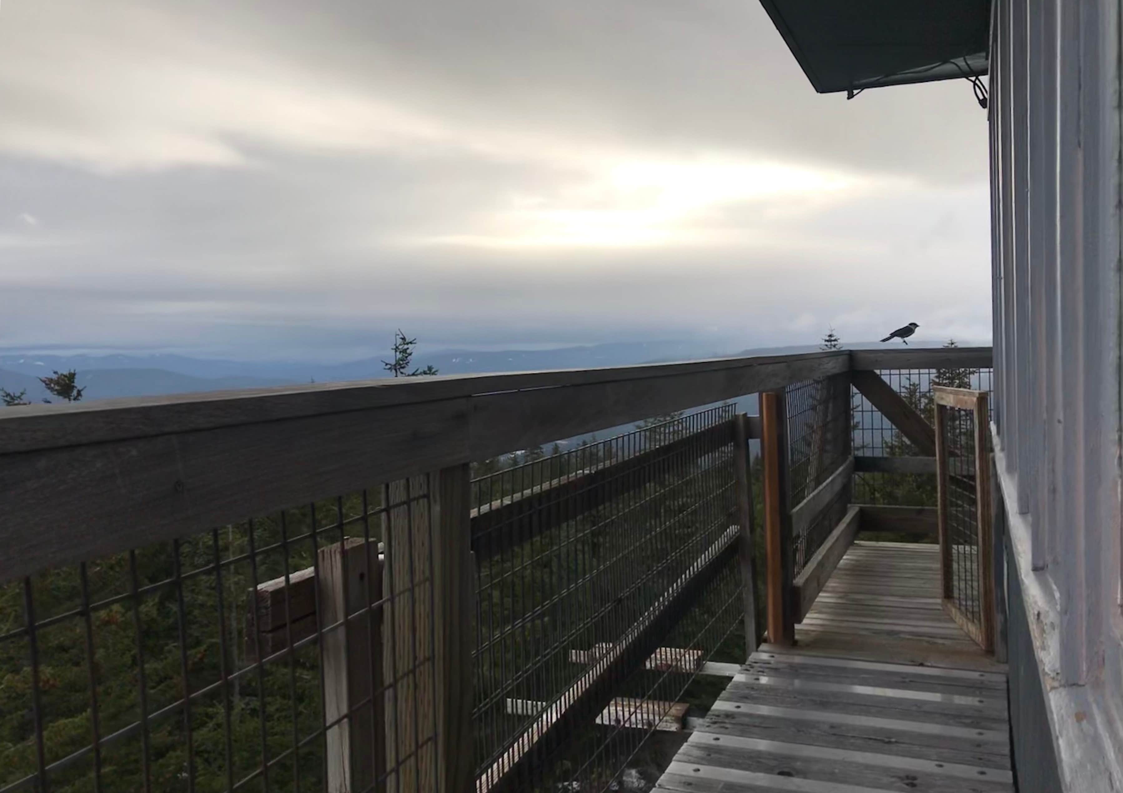 Camper submitted image from Clear Lake Cabin Lookout - 4