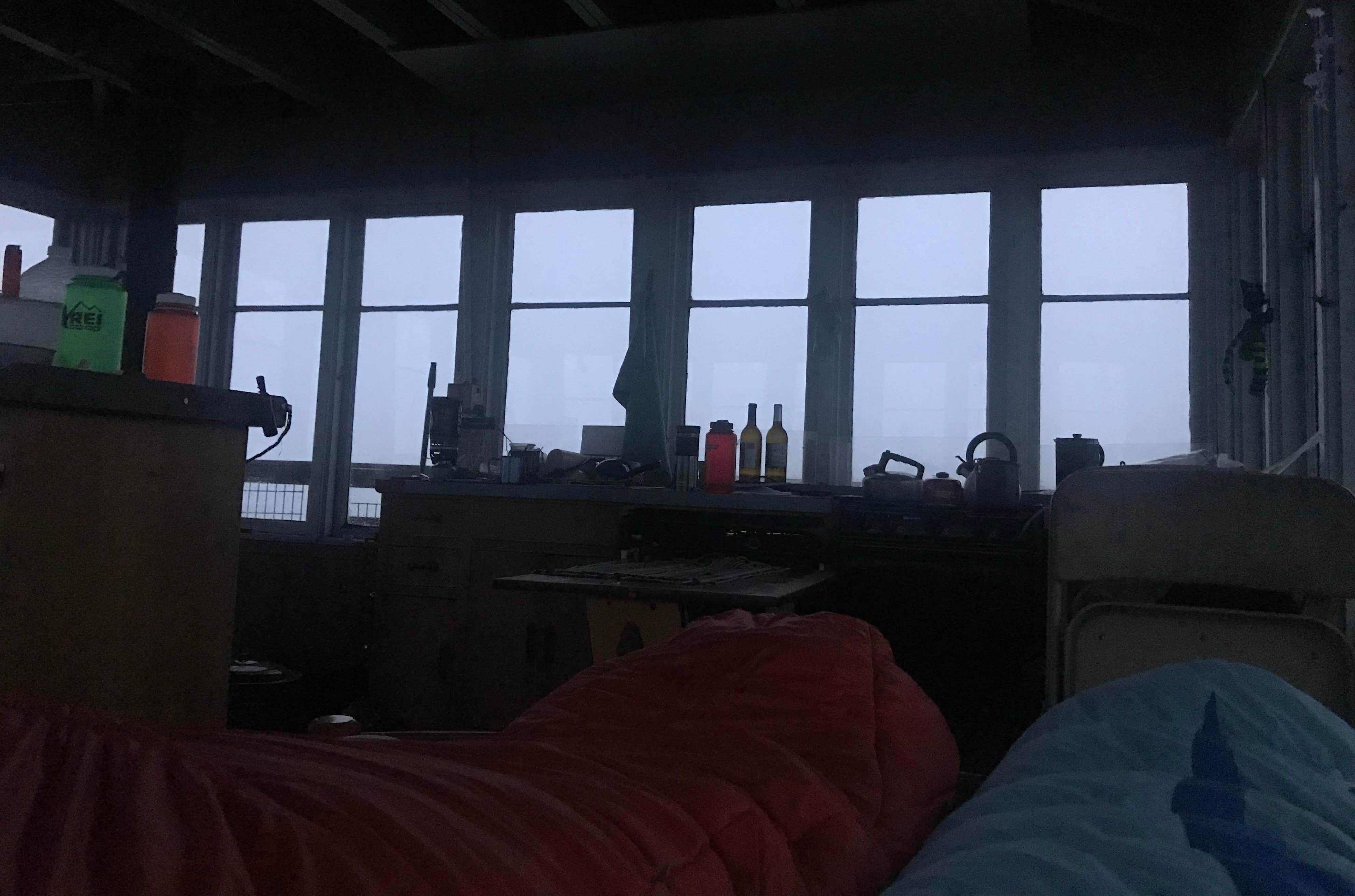 View All