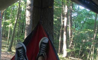 Marianna A.'s photo of tent camping at Indian Rock Nature Preserve near Hartford, CT