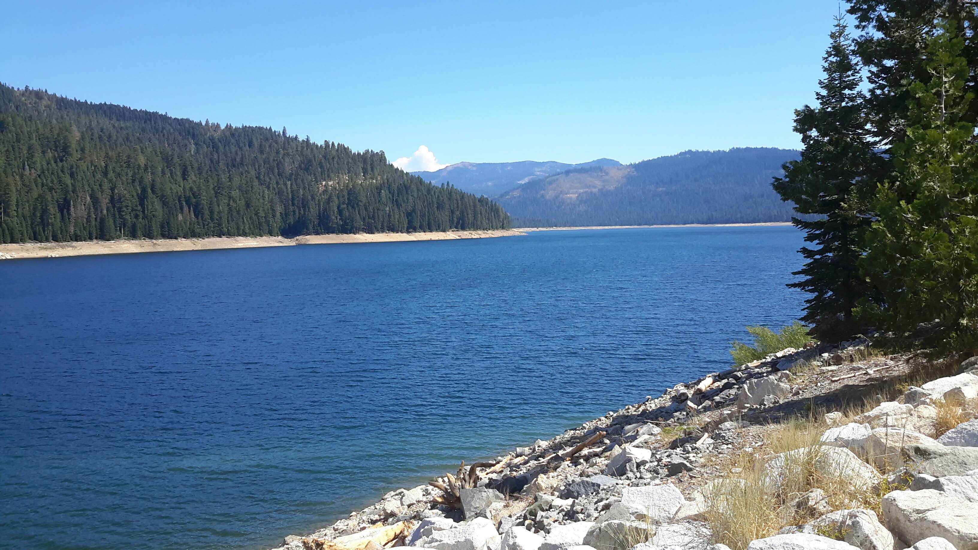 Camper-submitted photo at French Meadows near Lake Tahoe Basin Management Unit