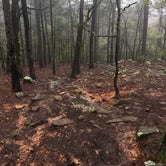Review photo of Robbers Cave State Park — Robbers Cave State Resort Park by Allen B., April 6, 2020