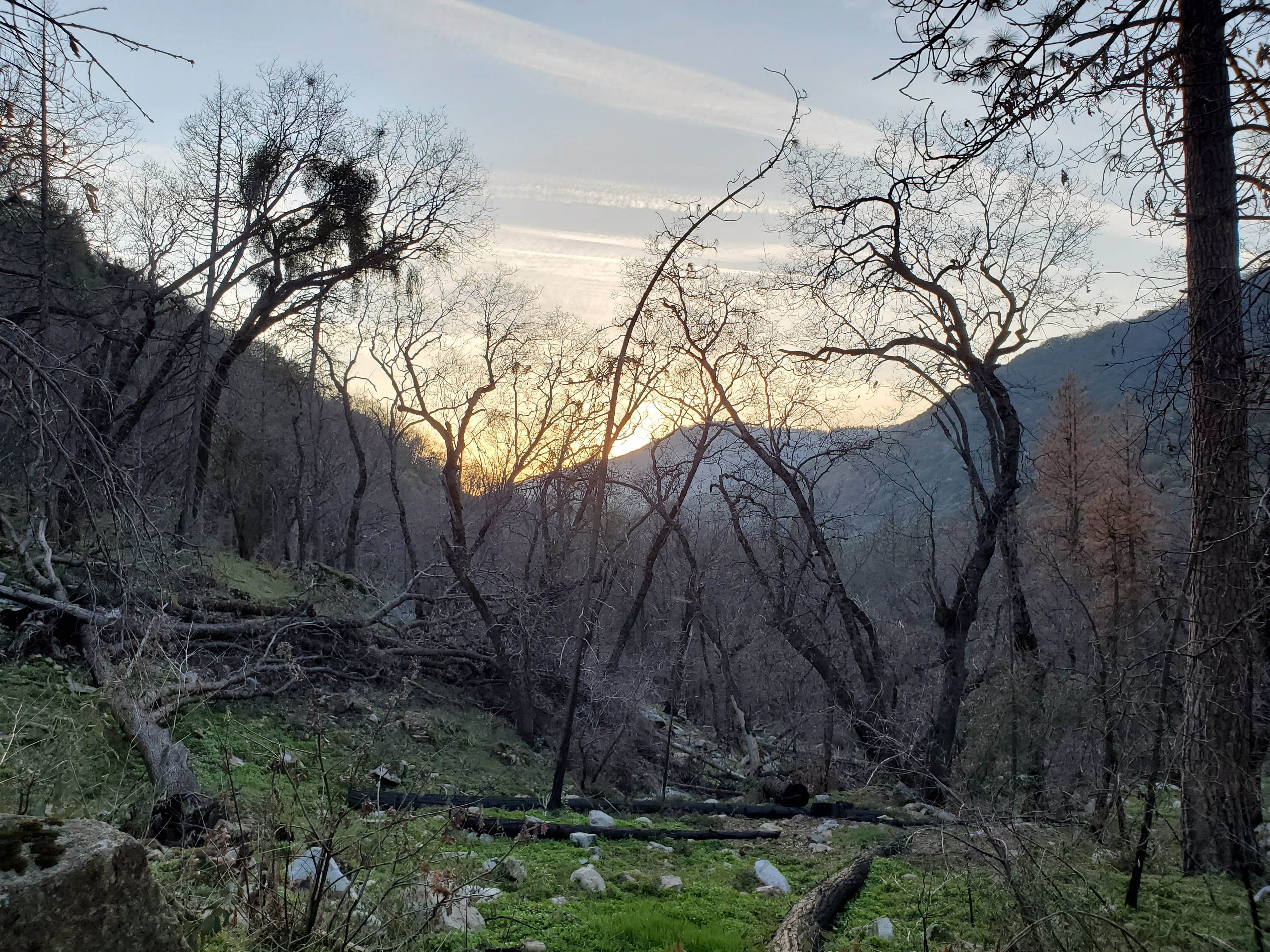 Camper-submitted photo at Wishon Campground near Porterville, CA