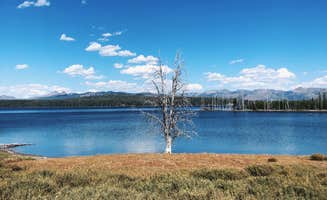 Lucille W.'s photo of a dispersed camping area at Yellowstone Lake — Yellowstone National Park near Shoshone National Forest