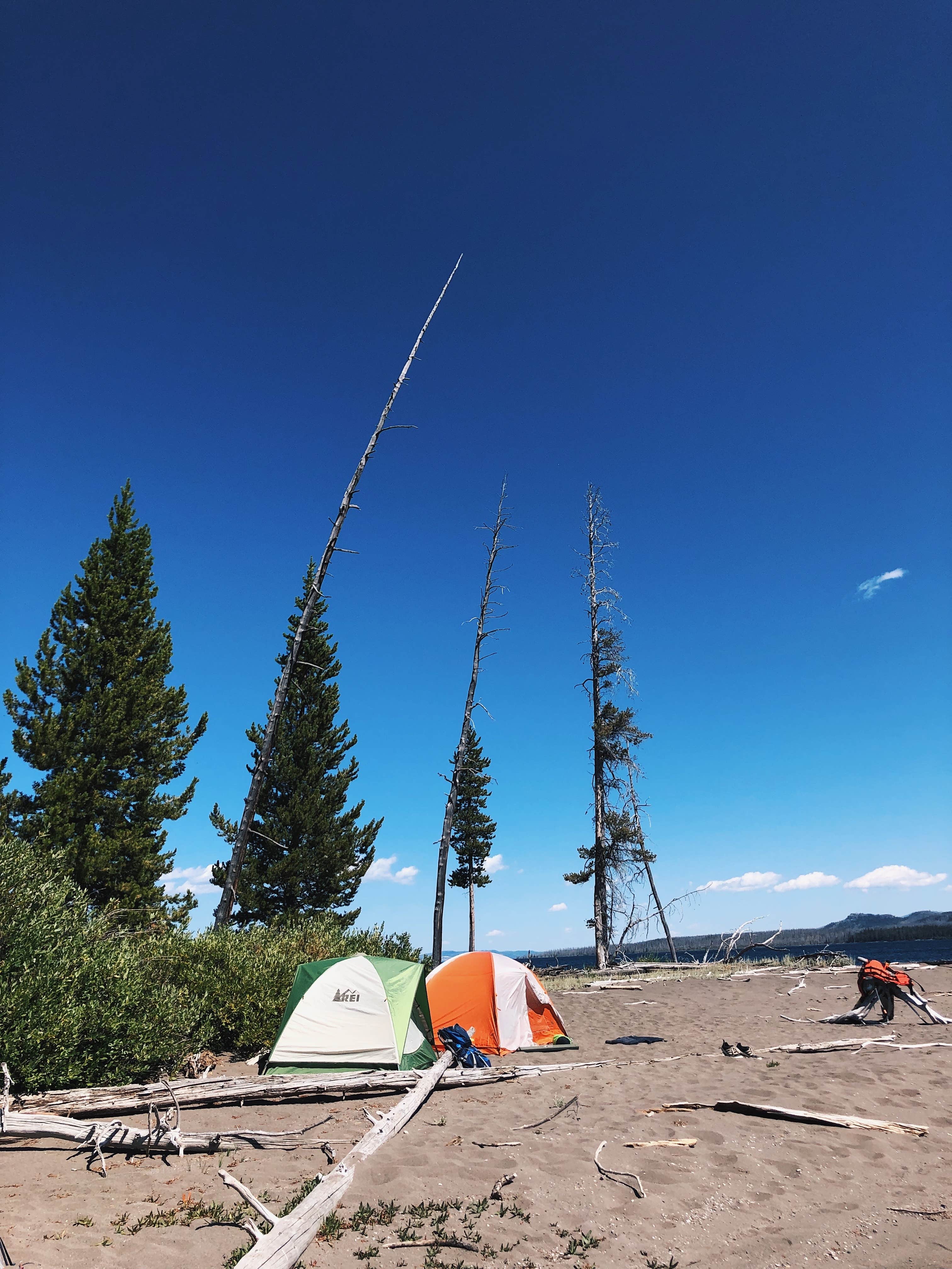 Lucille W.'s photo of tent camping at Yellowstone Lake — Yellowstone National Park near Shoshone National Forest