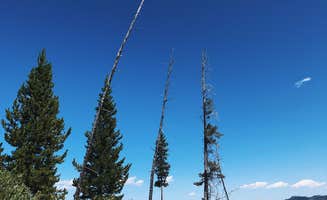 Lucille W.'s photo of tent camping at Yellowstone Lake — Yellowstone National Park near Shoshone National Forest
