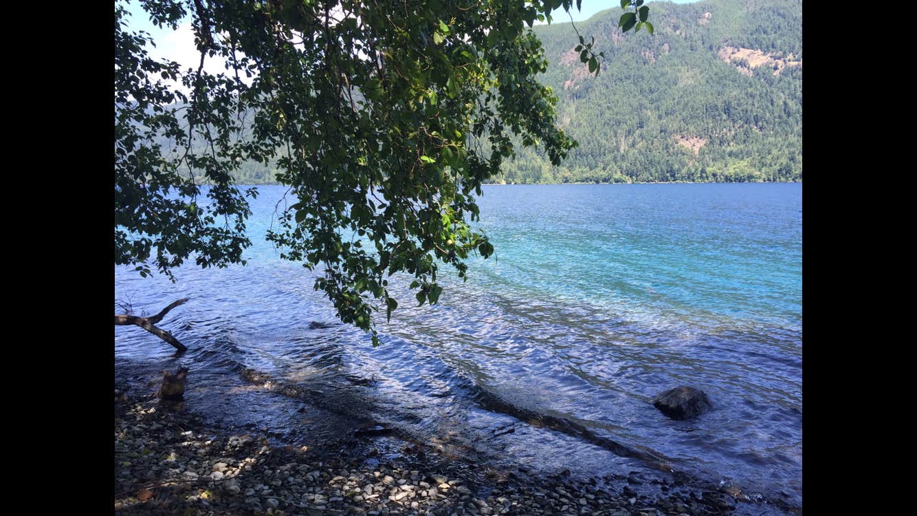 Camper submitted image from Crescent Lake Campground - 3