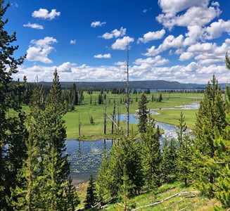Camper-submitted photo from Shoshone Lake — Yellowstone National Park