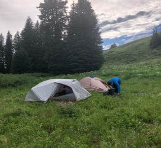 Camper-submitted photo from Snake River — Yellowstone National Park