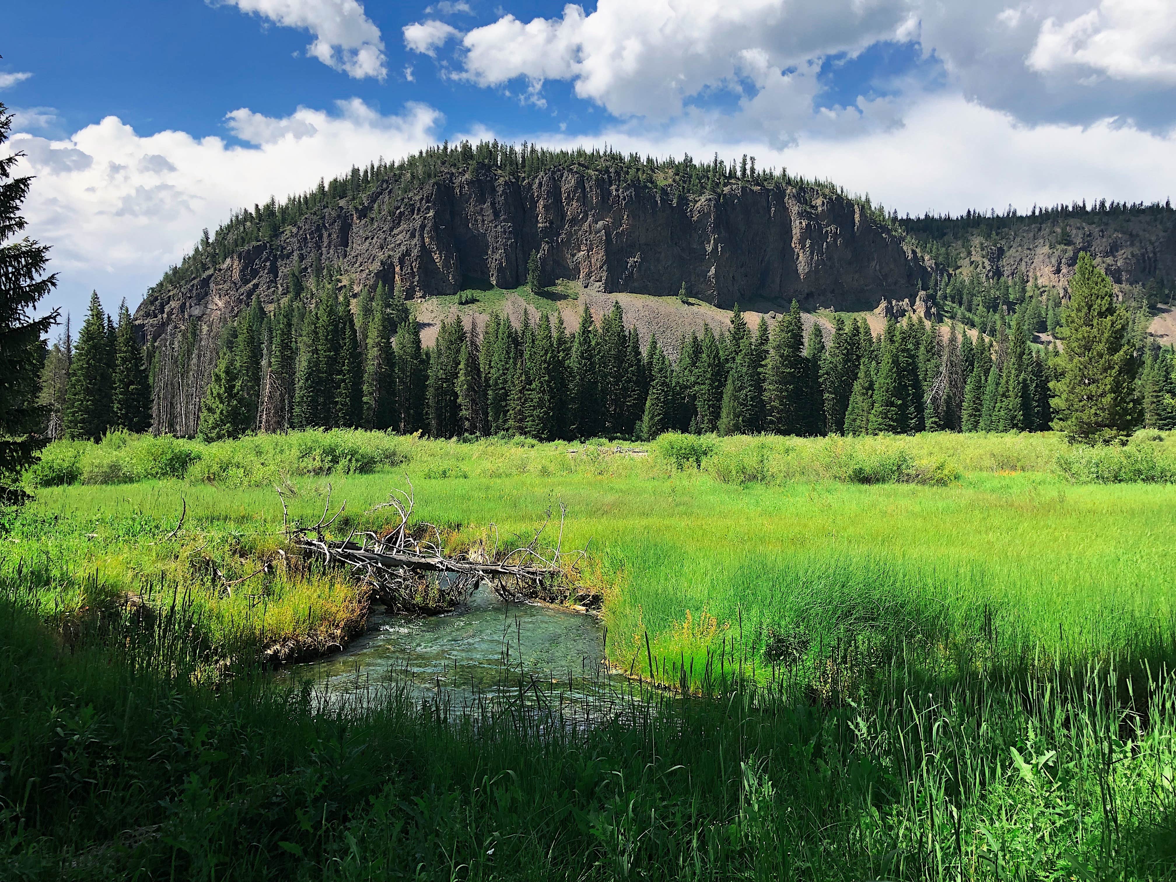 Camper submitted image from Snake River - 5