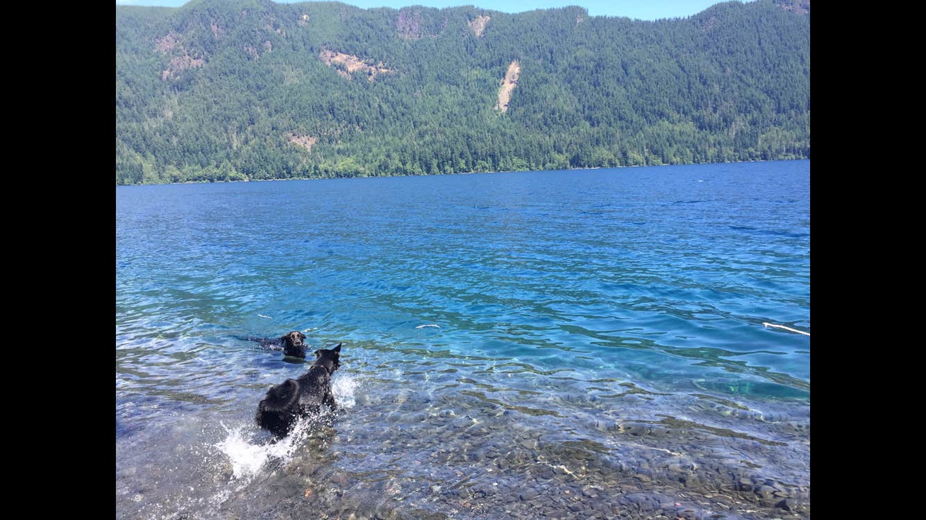 Camper submitted image from Crescent Lake Campground - 2