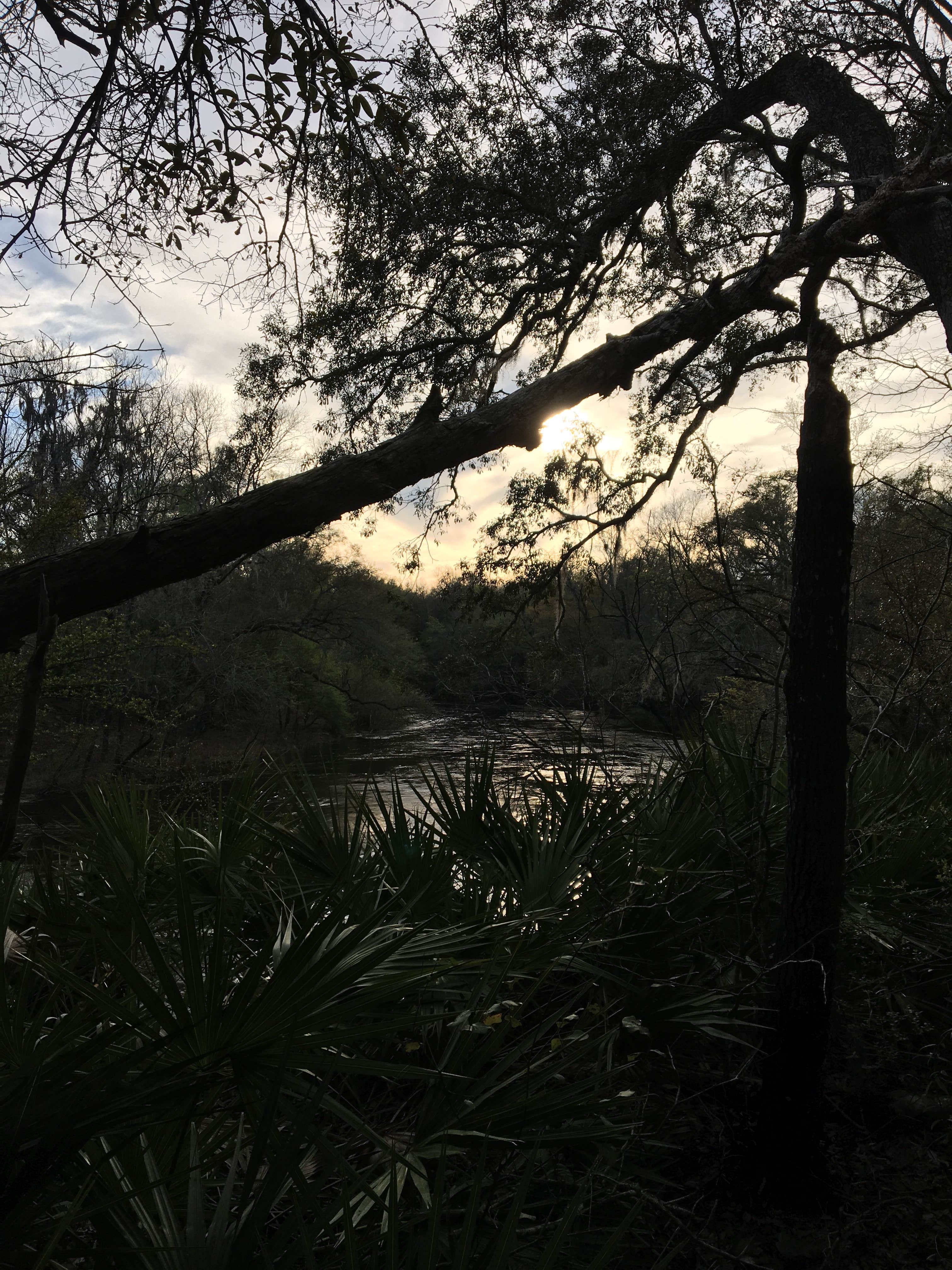 Camper submitted image from Hamilton County Park Gibson Campground - 4