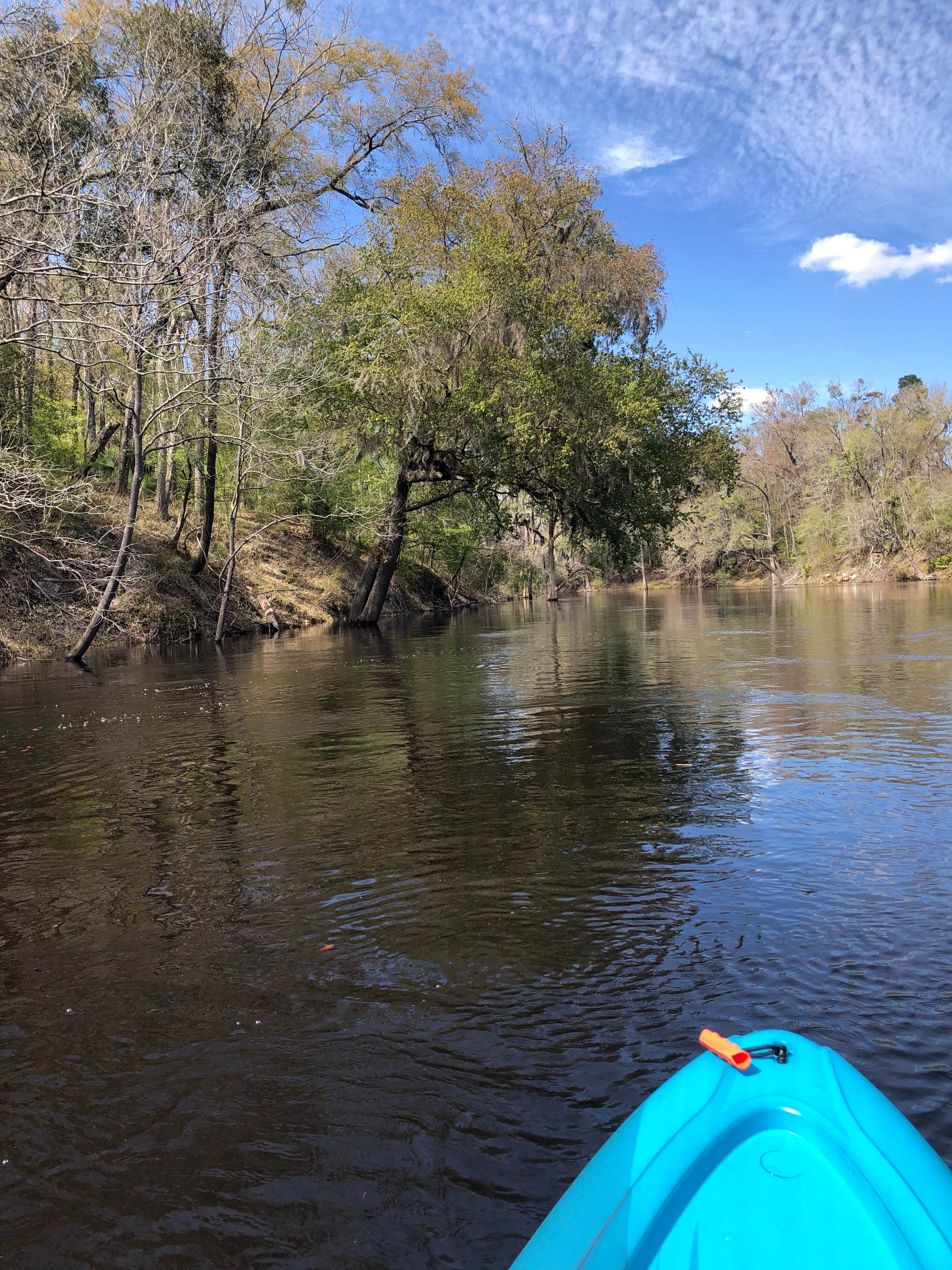 Camper-submitted photo at Hamilton County Park Gibson Campground near Jasper, FL