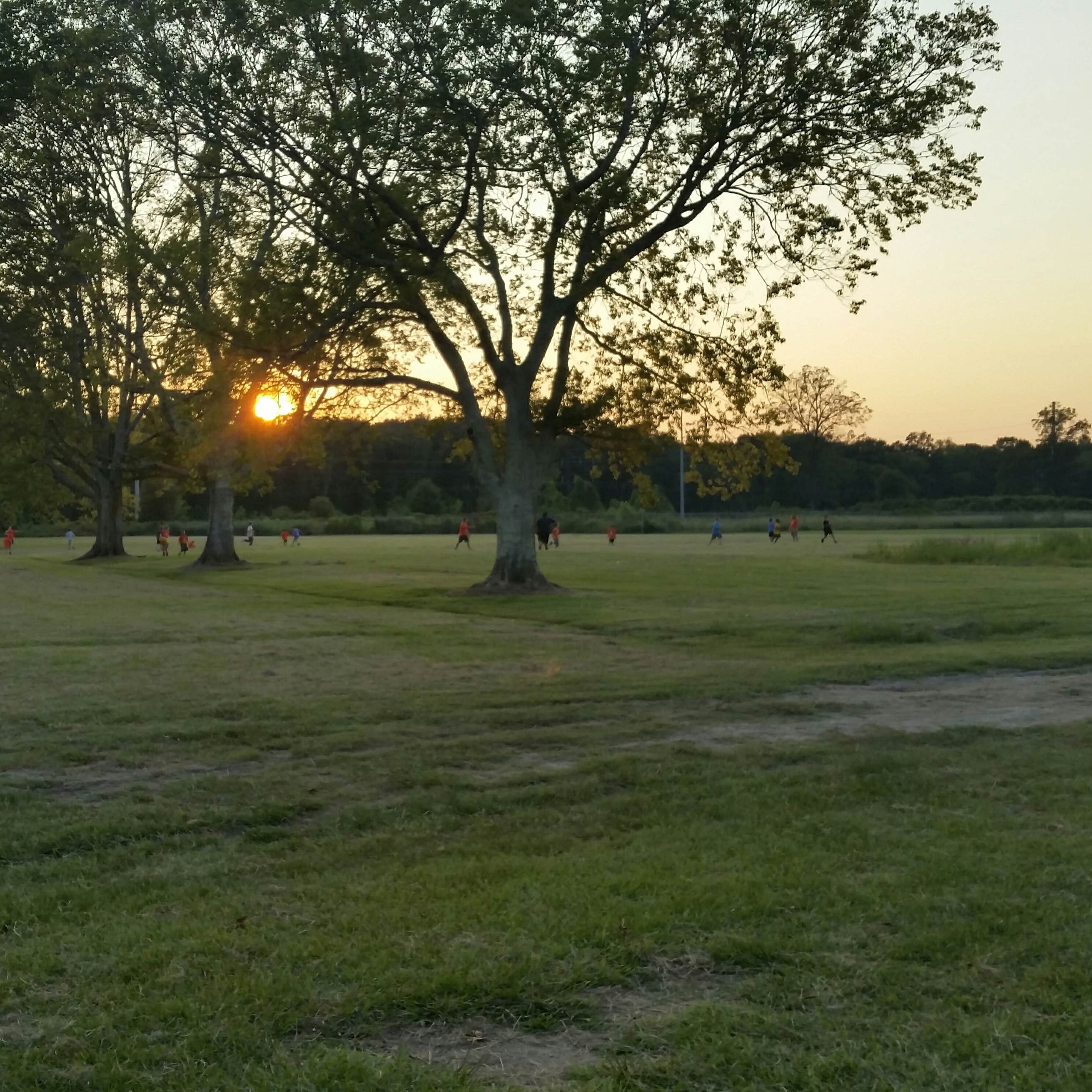 Lamar Dixon Expo Center Camping The Dyrt