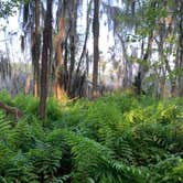 Review photo of Grassy Pond Recreation Area - CLOSED INDEFINITELY by Emily A., March 28, 2020