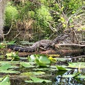 Review photo of Stephen C. Foster State Park Campground by Emily A., March 28, 2020