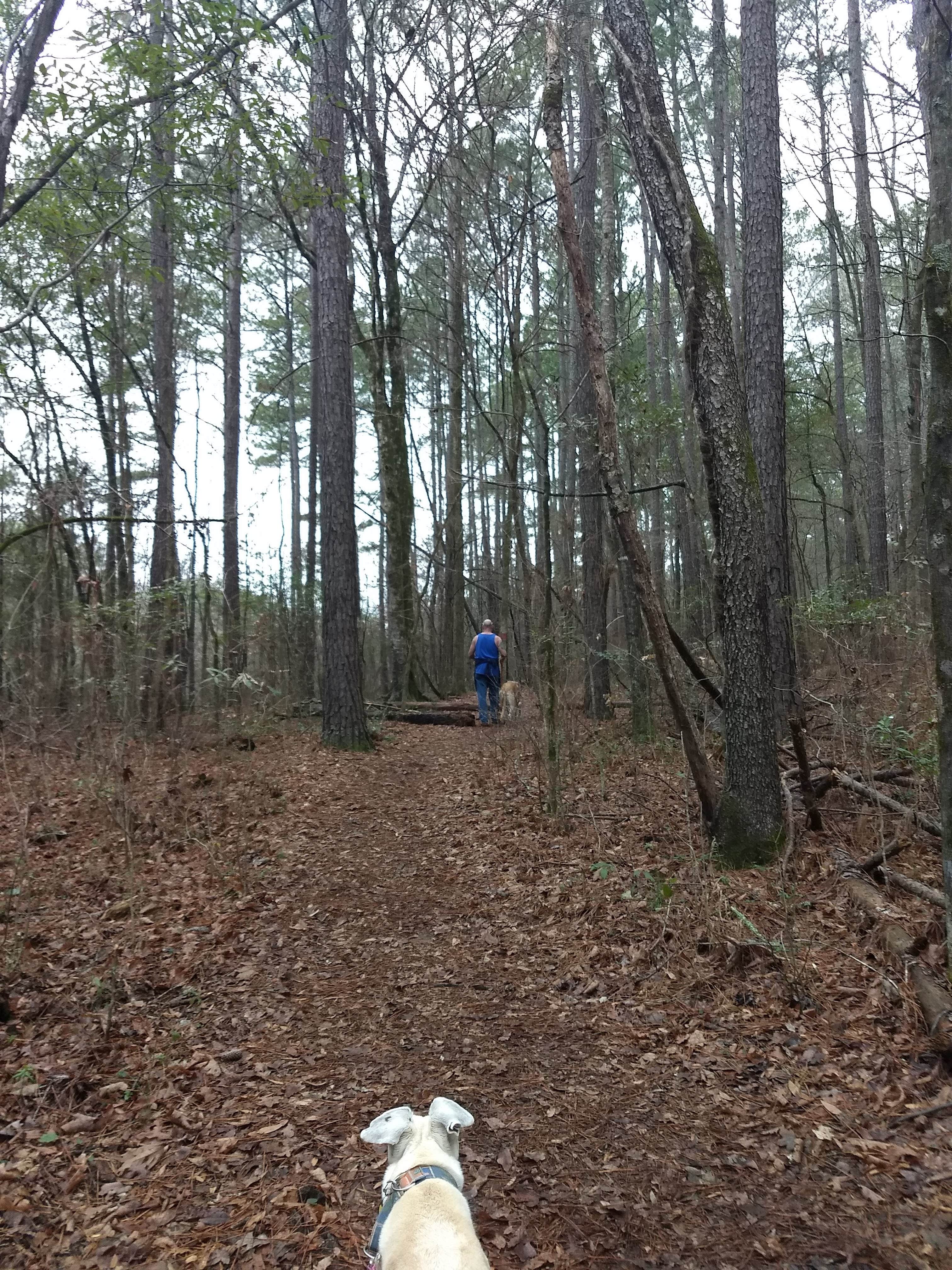 Rachel G.'s photo of camping with pets at High Falls State Park Campground near Pine Mountain, GA
