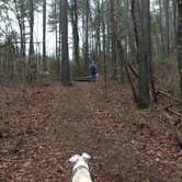 Review photo of High Falls State Park Campground by Rachel G., April 8, 2020