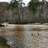 Review photo of High Falls State Park Campground by Rachel G., April 8, 2020