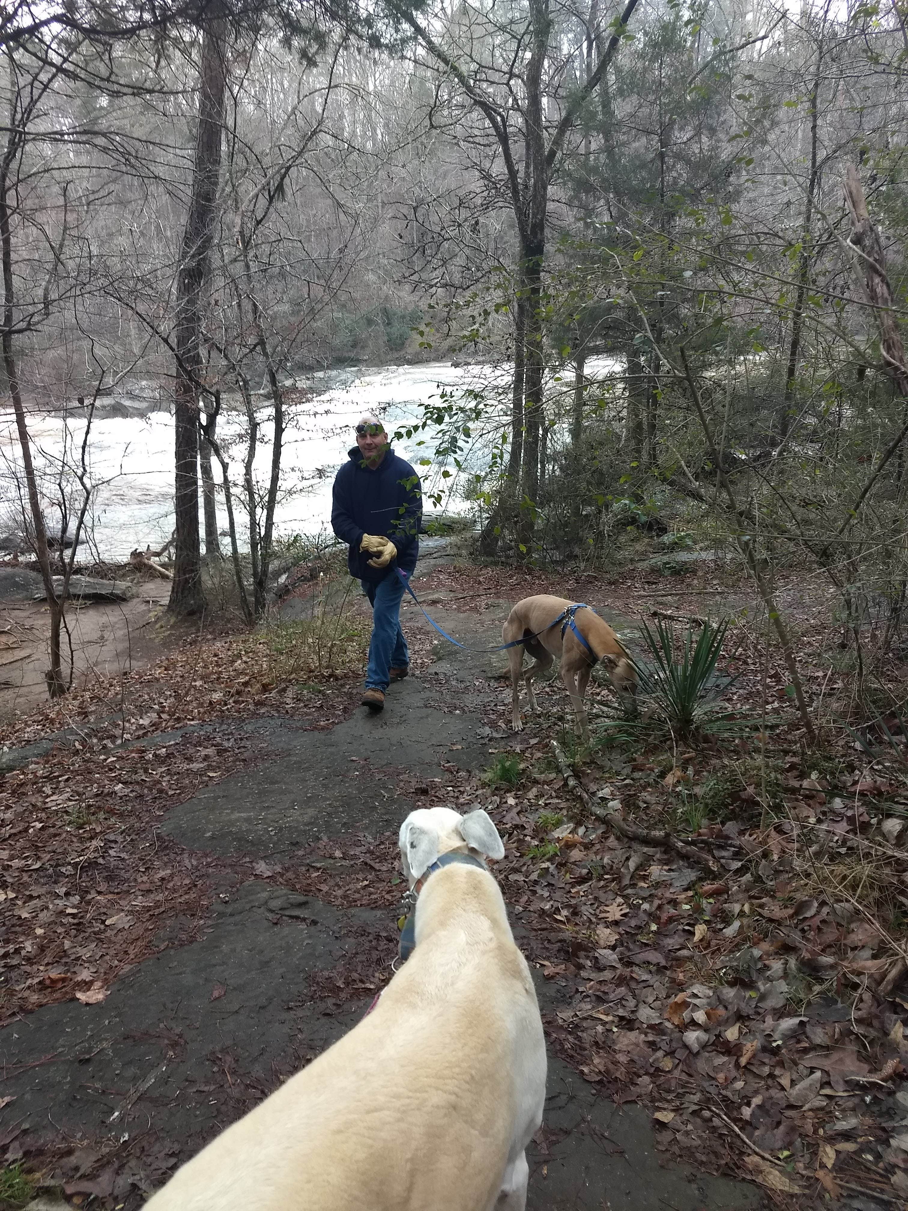 Rachel G.'s photo of camping with pets at High Falls State Park Campground near Conley, GA
