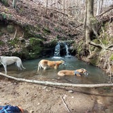 Review photo of High Falls State Park Campground by Rachel G., April 8, 2020