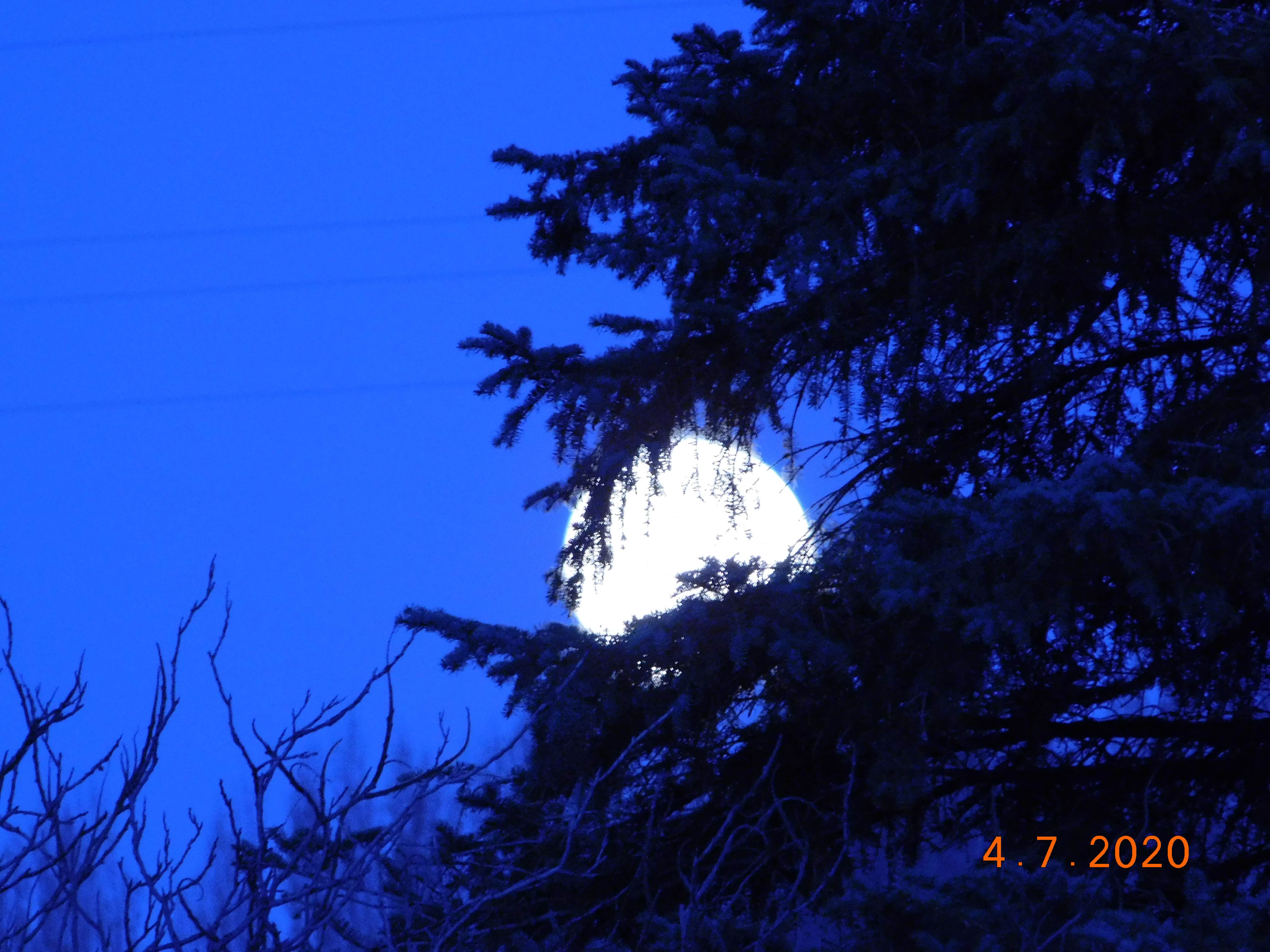Camper-submitted photo at Bridgeport Marina RV Park near Hartline, WA