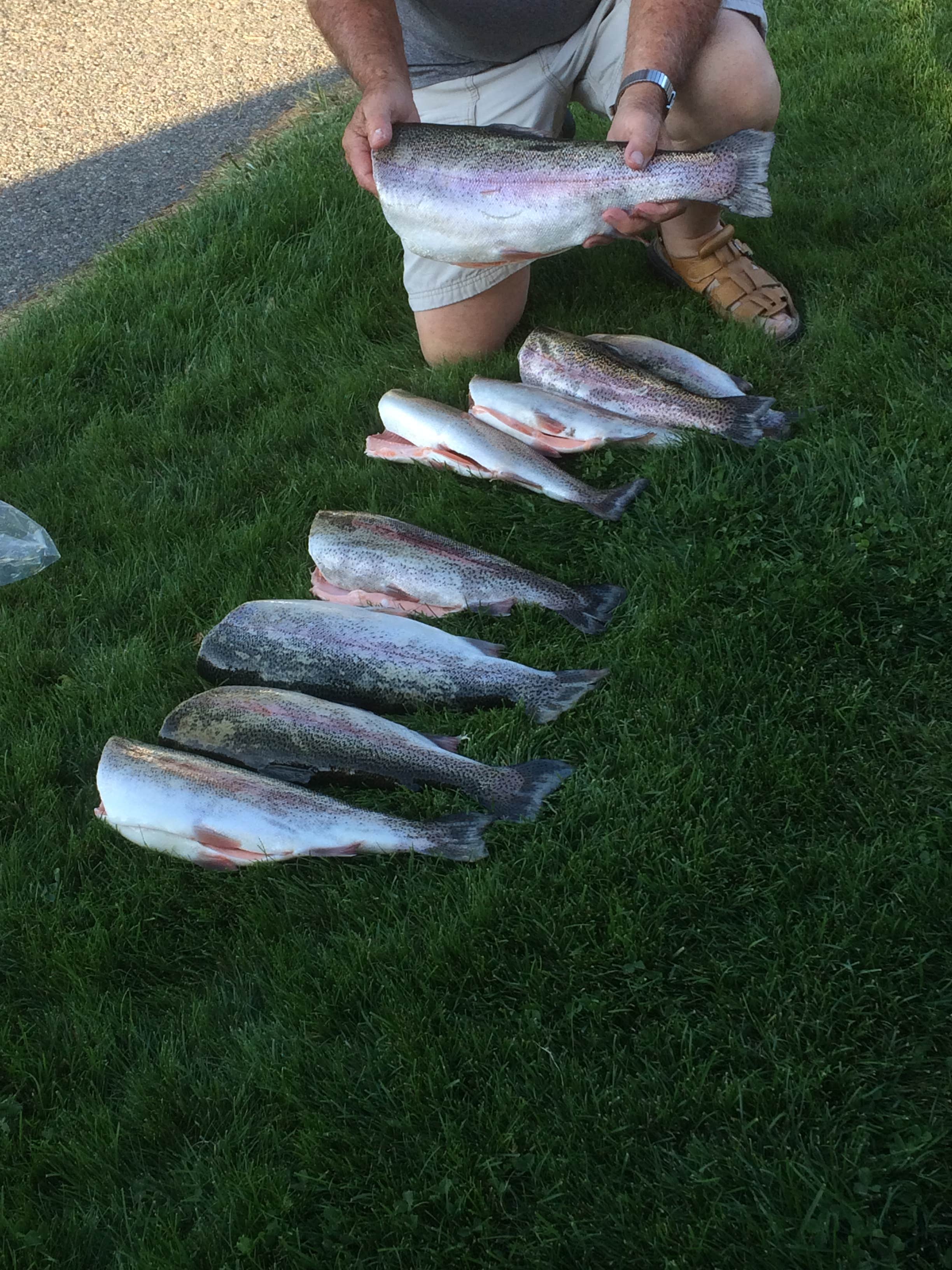 Camper-submitted photo at Bridgeport Marina RV Park near Hartline, WA