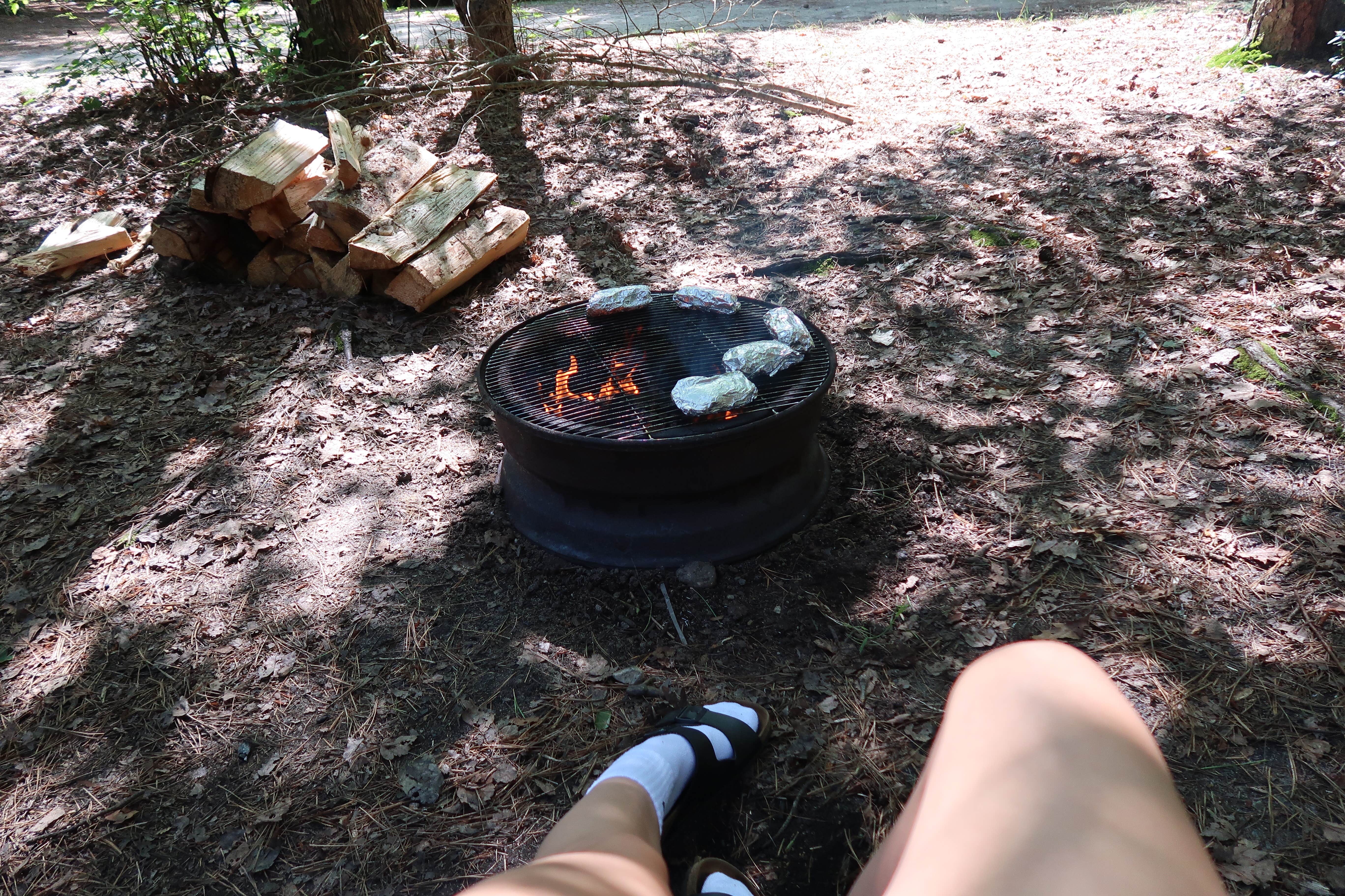 Camping near Charge Pond Campground — Myles Standish State Forest: Sandy Pond Campground, Buzzards Bay, Massachusetts