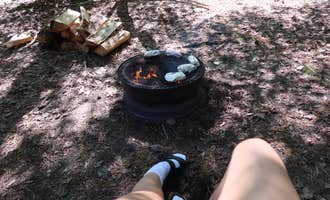 Camping near Scusset Beach State Reservation: Sandy Pond Campground, Buzzards Bay, Massachusetts