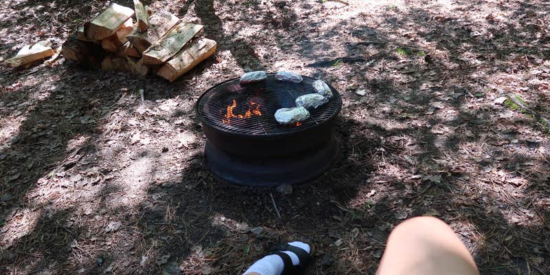 Camper submitted image from Sandy Pond Campground
