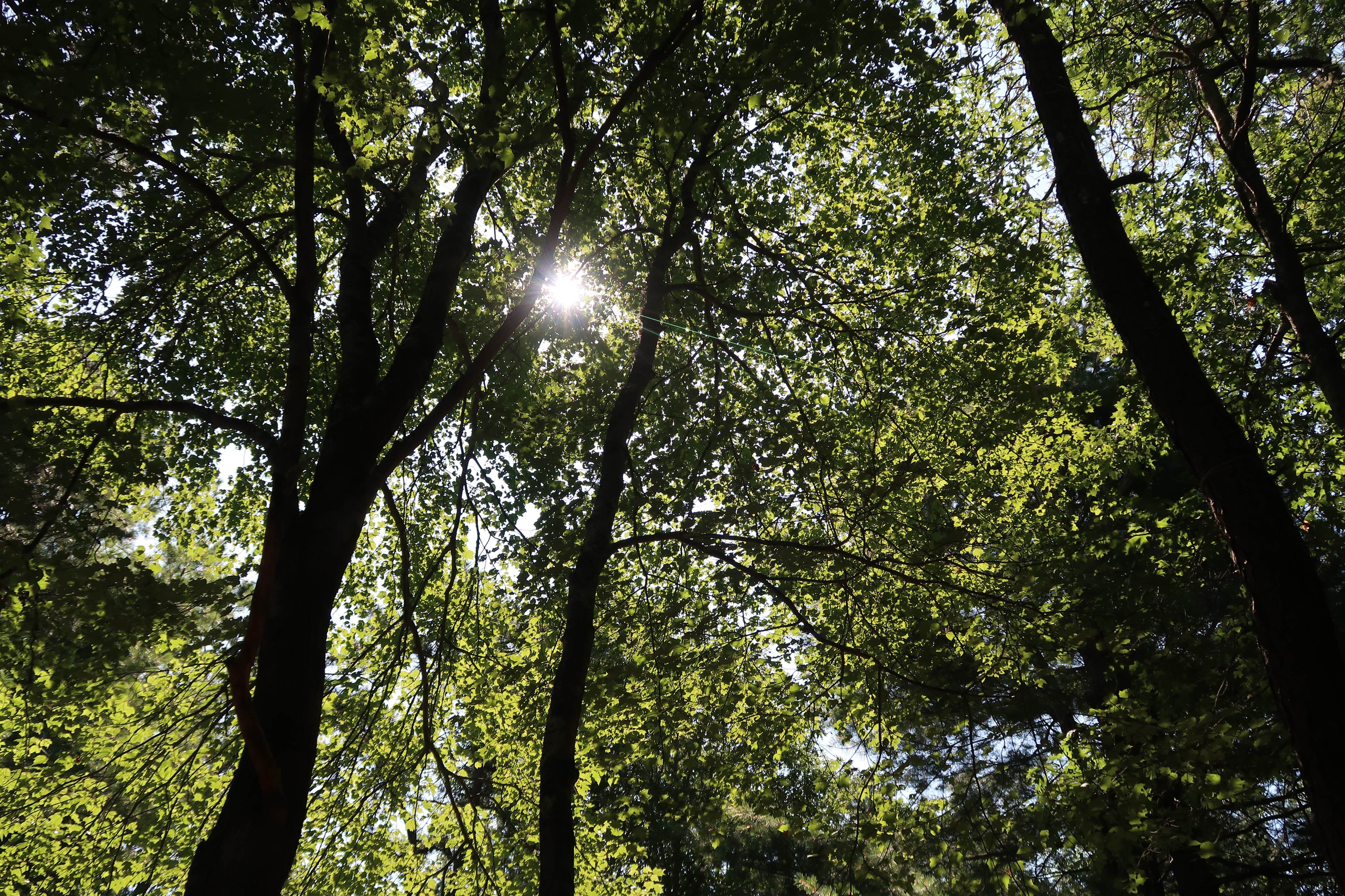 Camper-submitted photo at Sandy Pond Campground near North Falmouth, MA